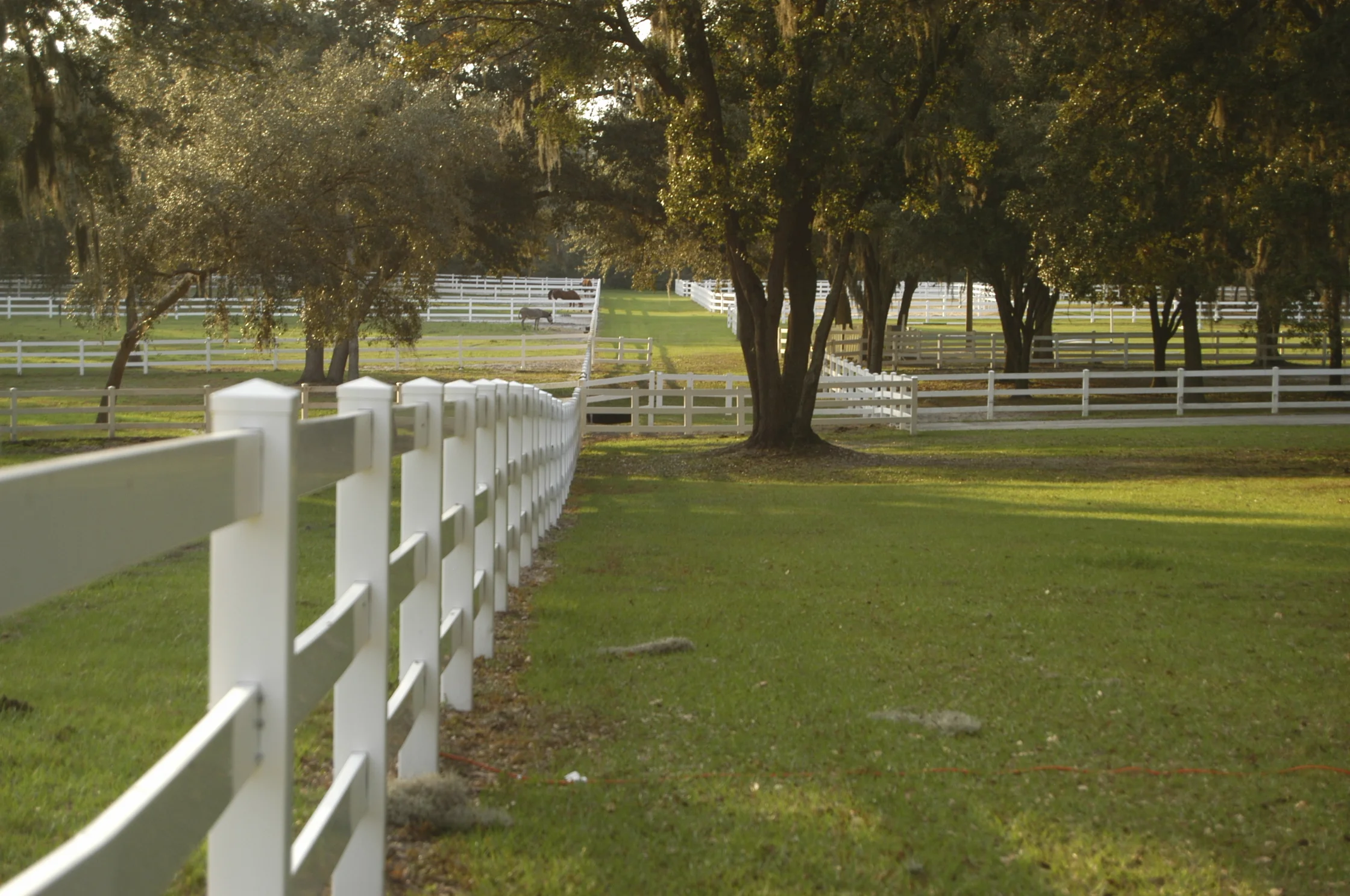 Pasture Photo Original.jpg