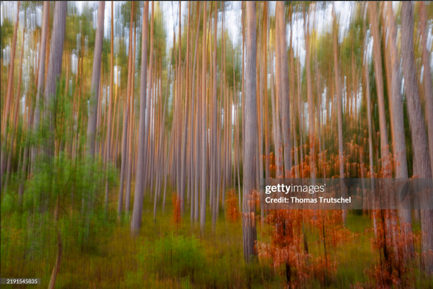 Screen Shot 2025-06-24 at 11.28.44 PM.png