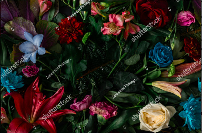 Screen Shot 2026-03-13 at 3.41.07 PM.png