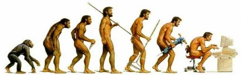 The Evolution of Fitness