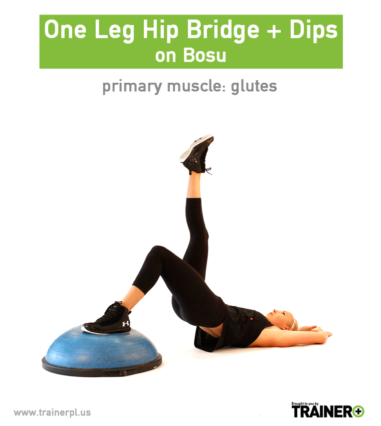 Exercises — Trainer Plus