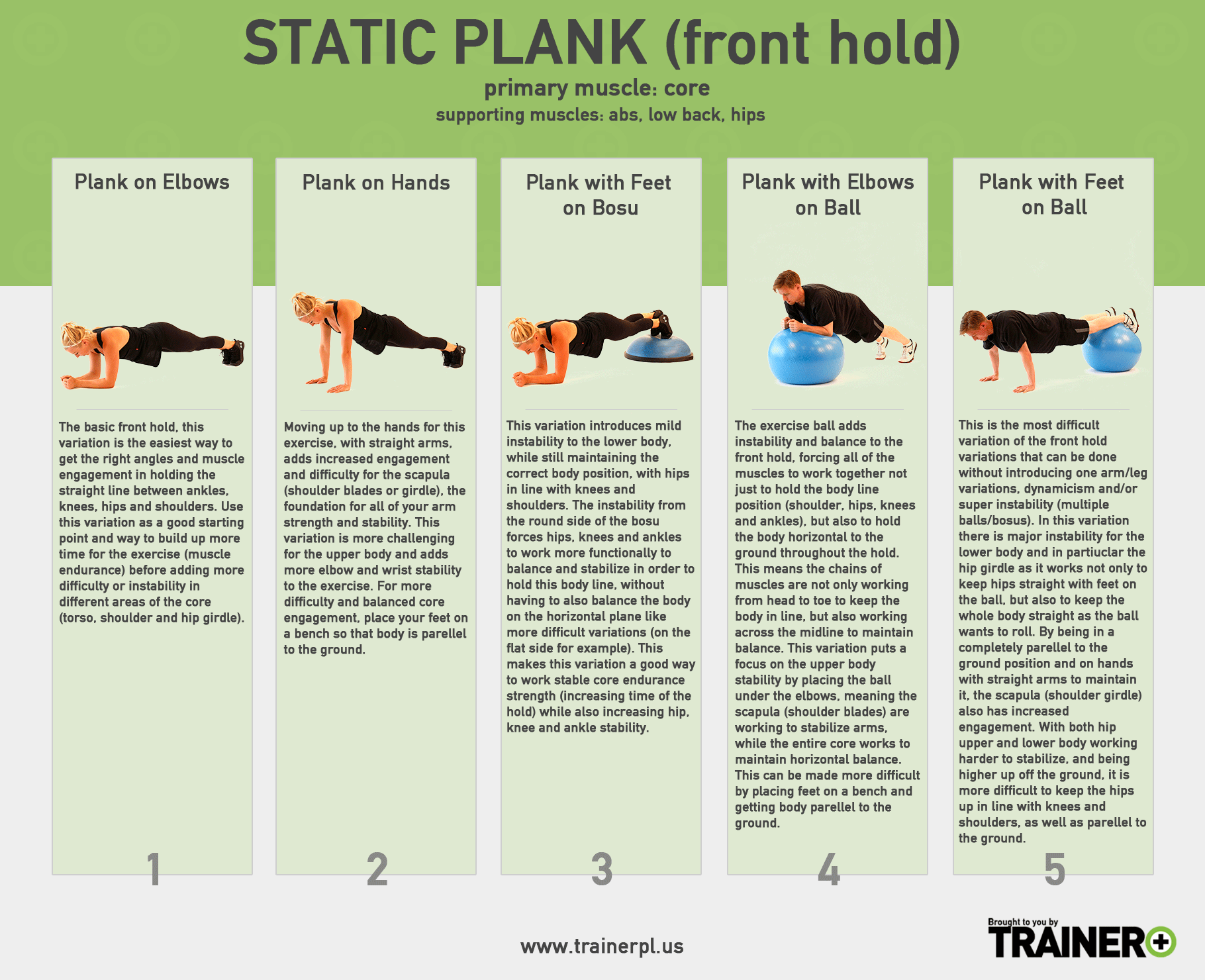 struik bedelaar microscoop Static Planks — Trainer Plus