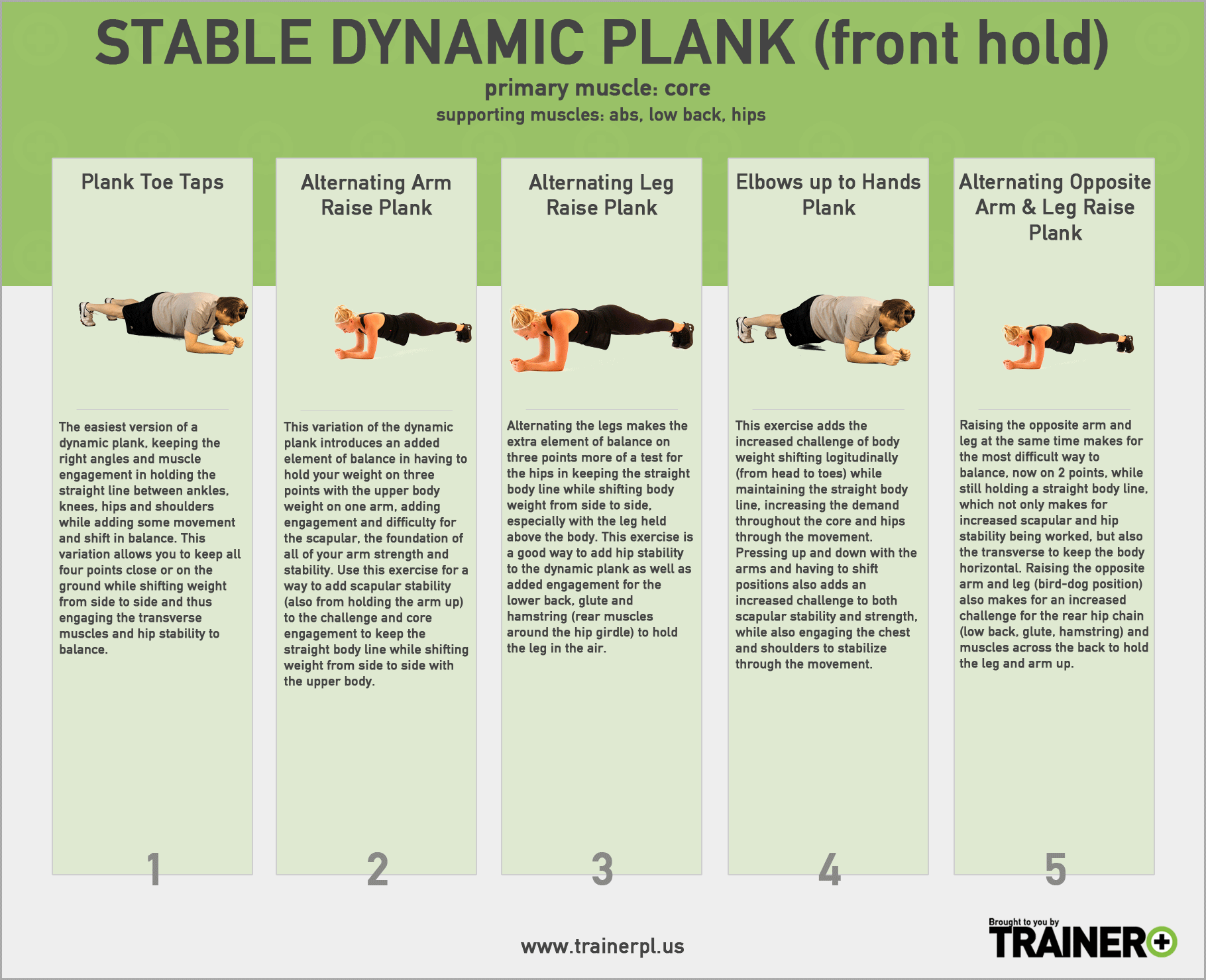Dynamic Stable Planks Trainer Plus