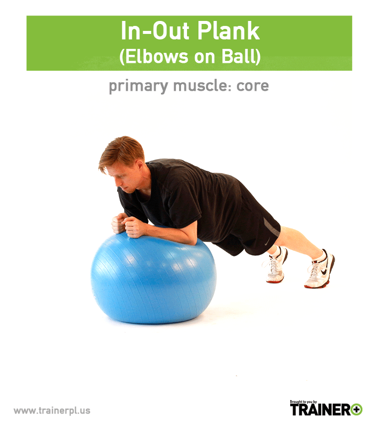 Dynamic Unstable Planks Exercise Ball — Trainer Plus