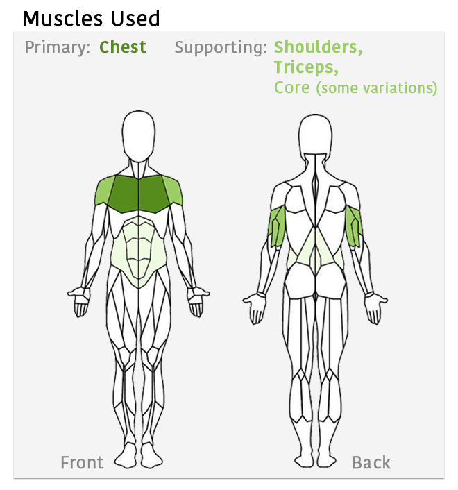 Muscles used 2.png