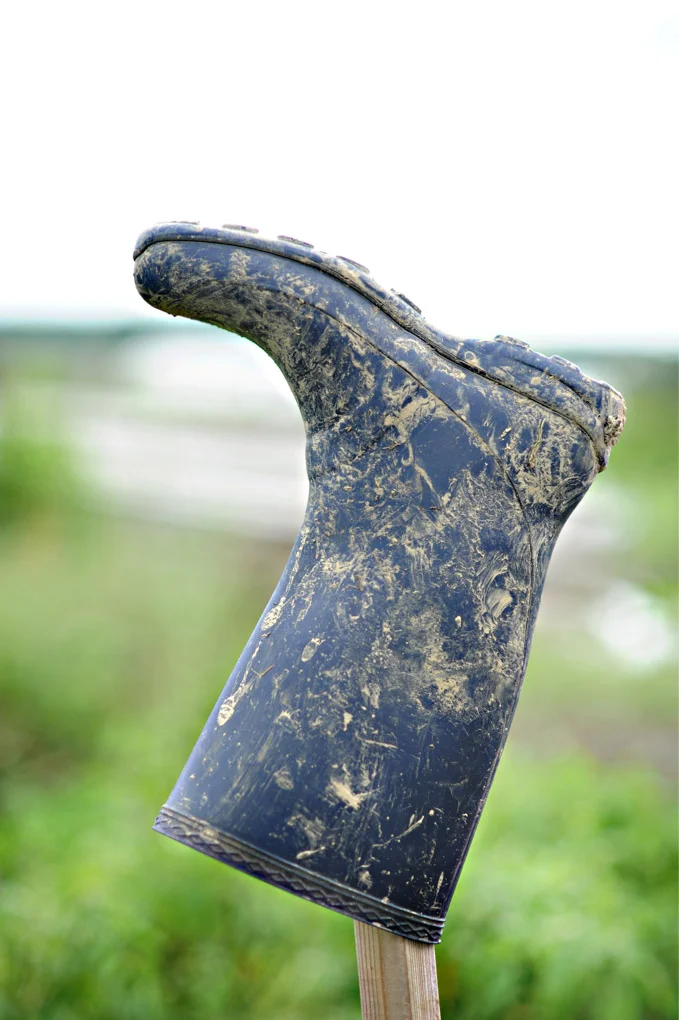 image27.jpg