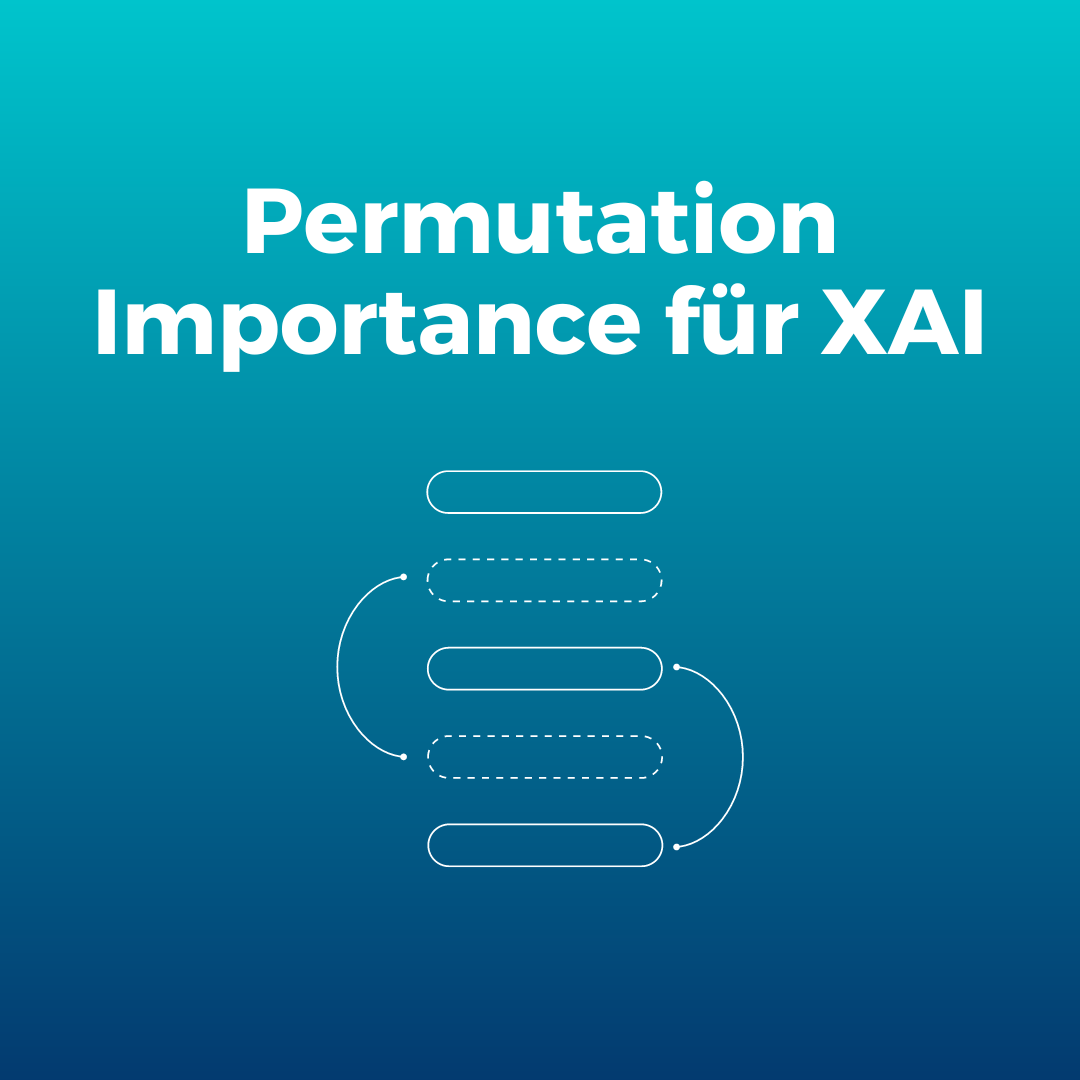 101N - Head Permutation Importance für XAI.png