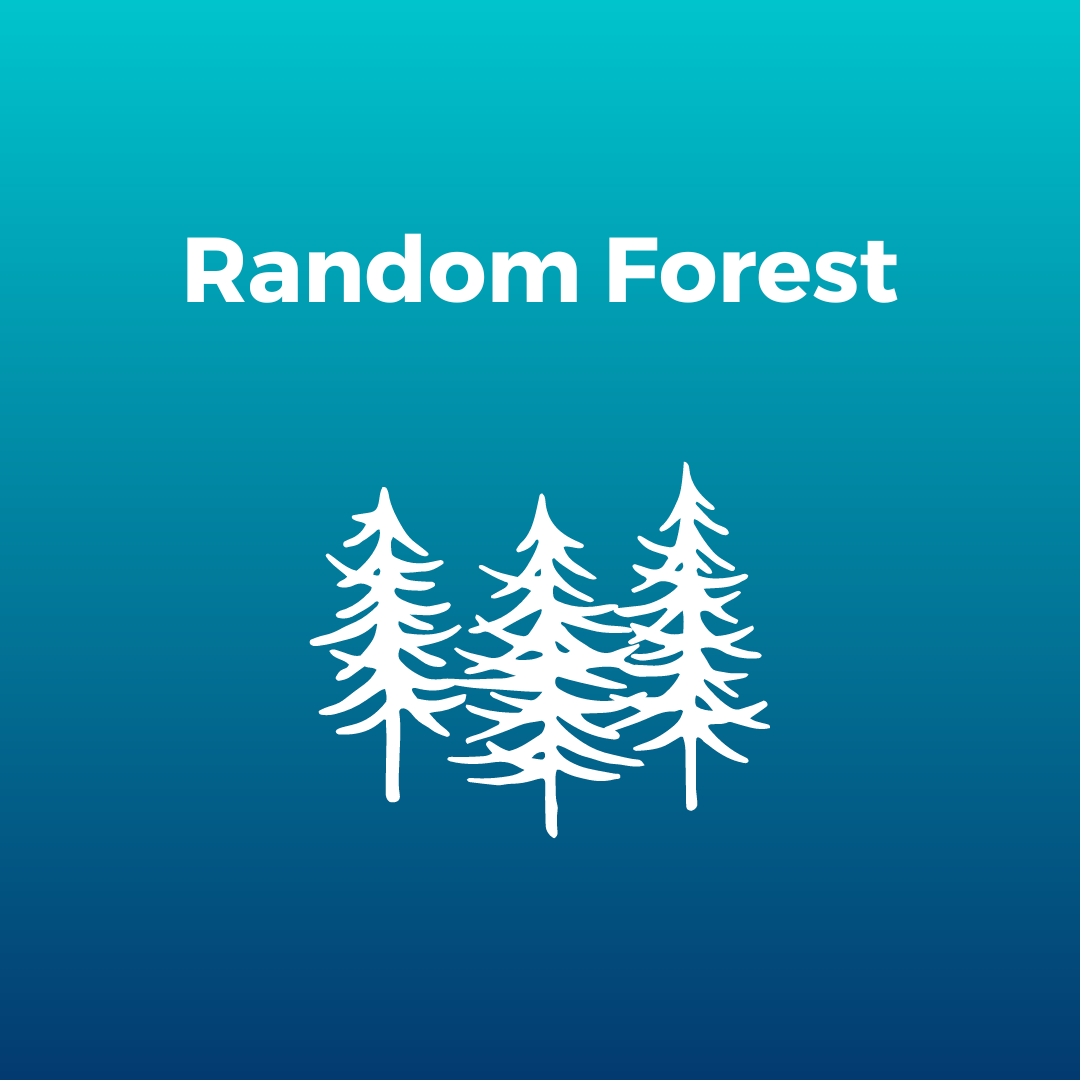 Random Forest - ein Ensemble von Decision Trees zur Vorhersage von Finanzparametern