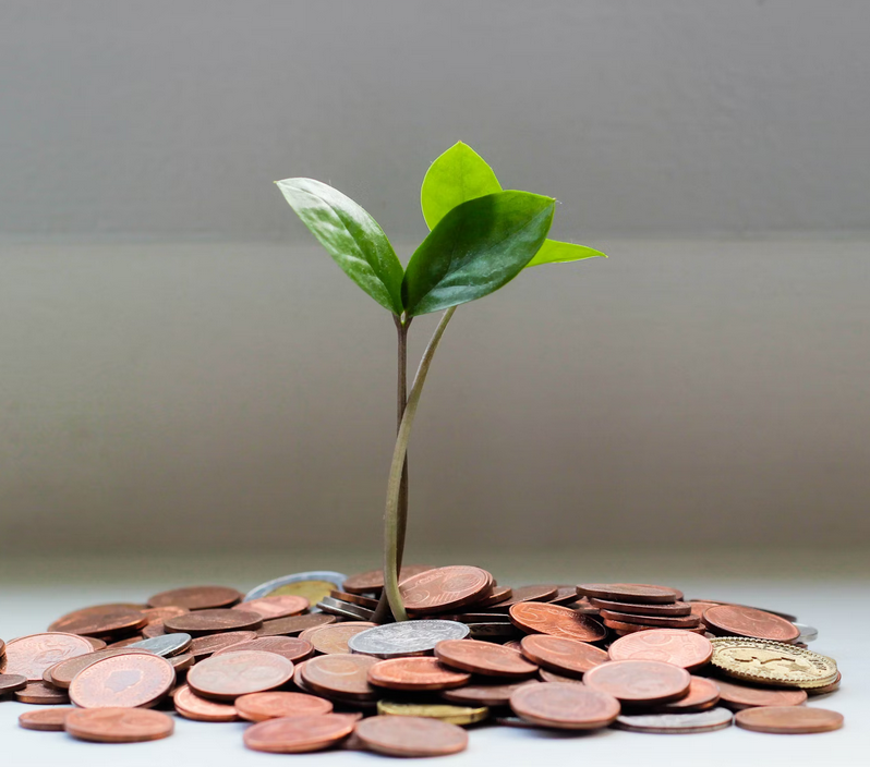 EU Green Bond Standard ab dem 21. Dezember 2024: Ein neuer Maßstab für nachhaltige Investitionen 