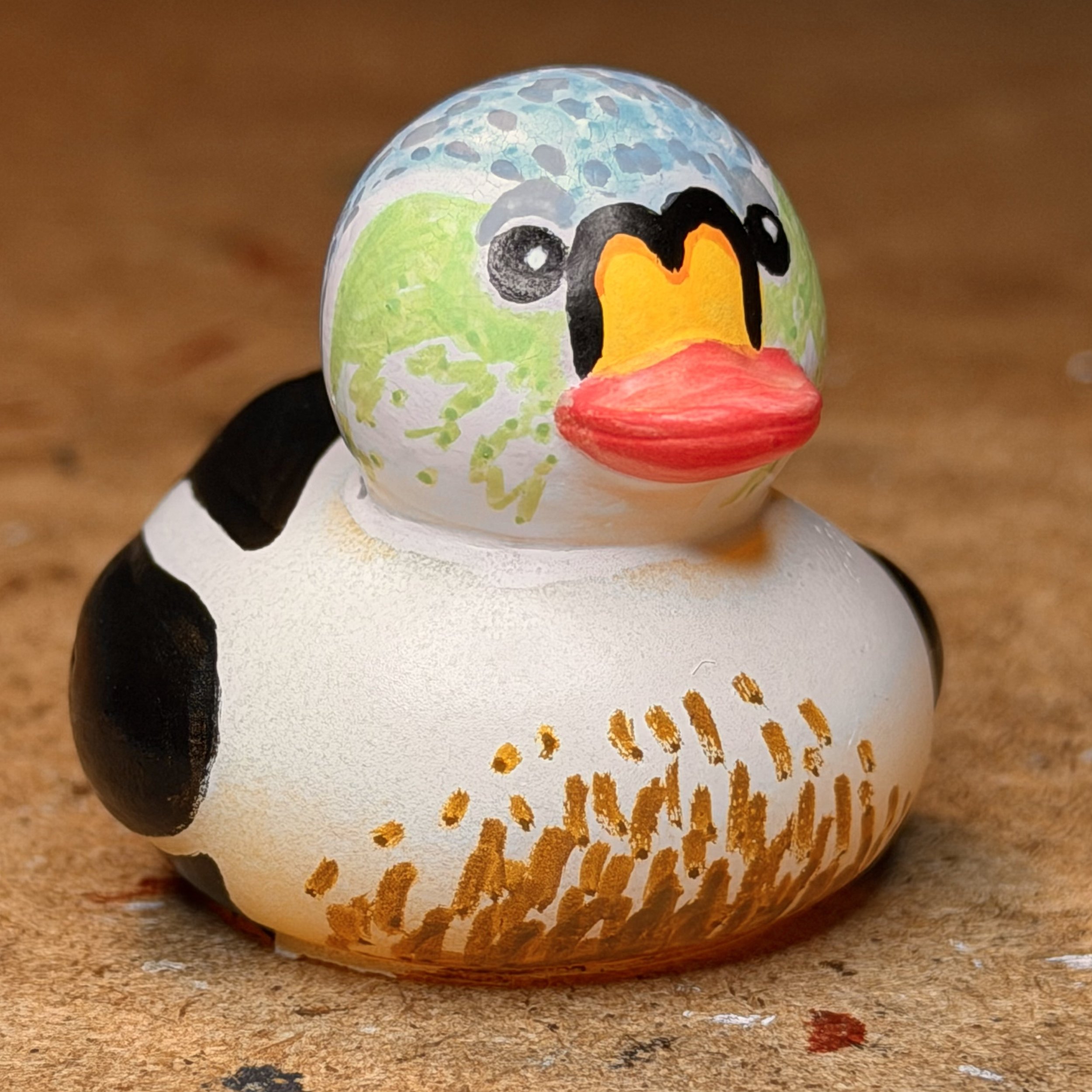 king eider IMG_2024.jpg