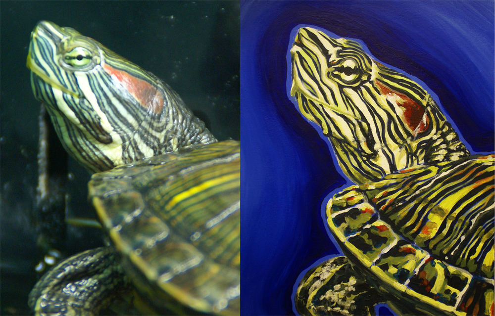 Painted Turtle, for Linda Congedo