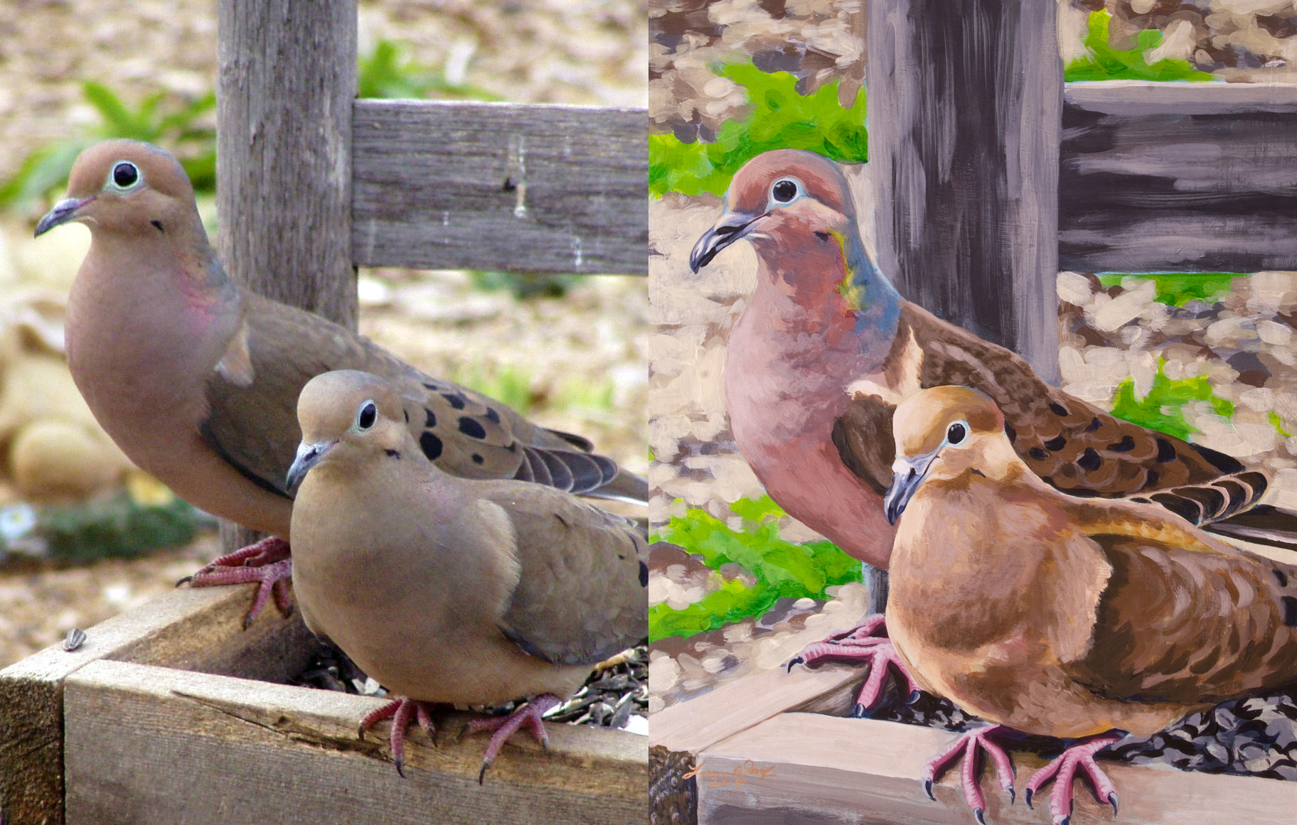 Dove Pair, for David and Lynn Wolf