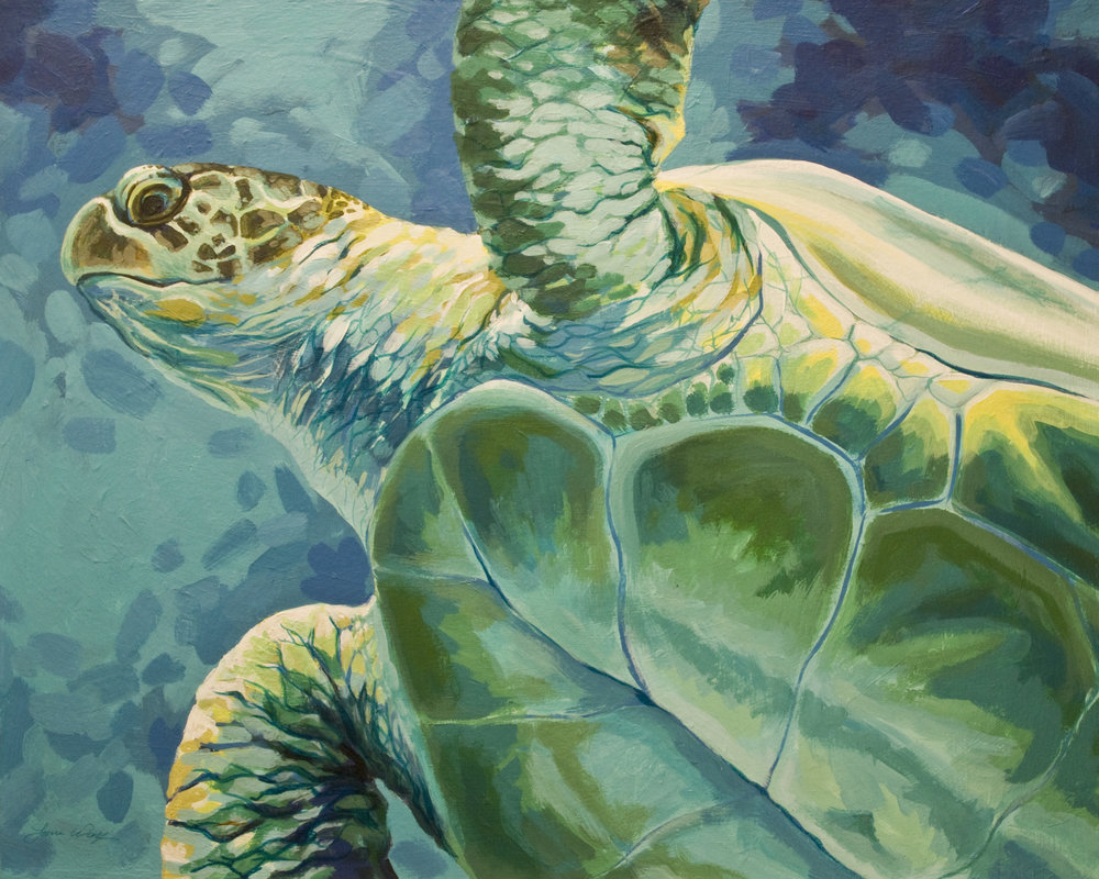 Green Sea Turtle