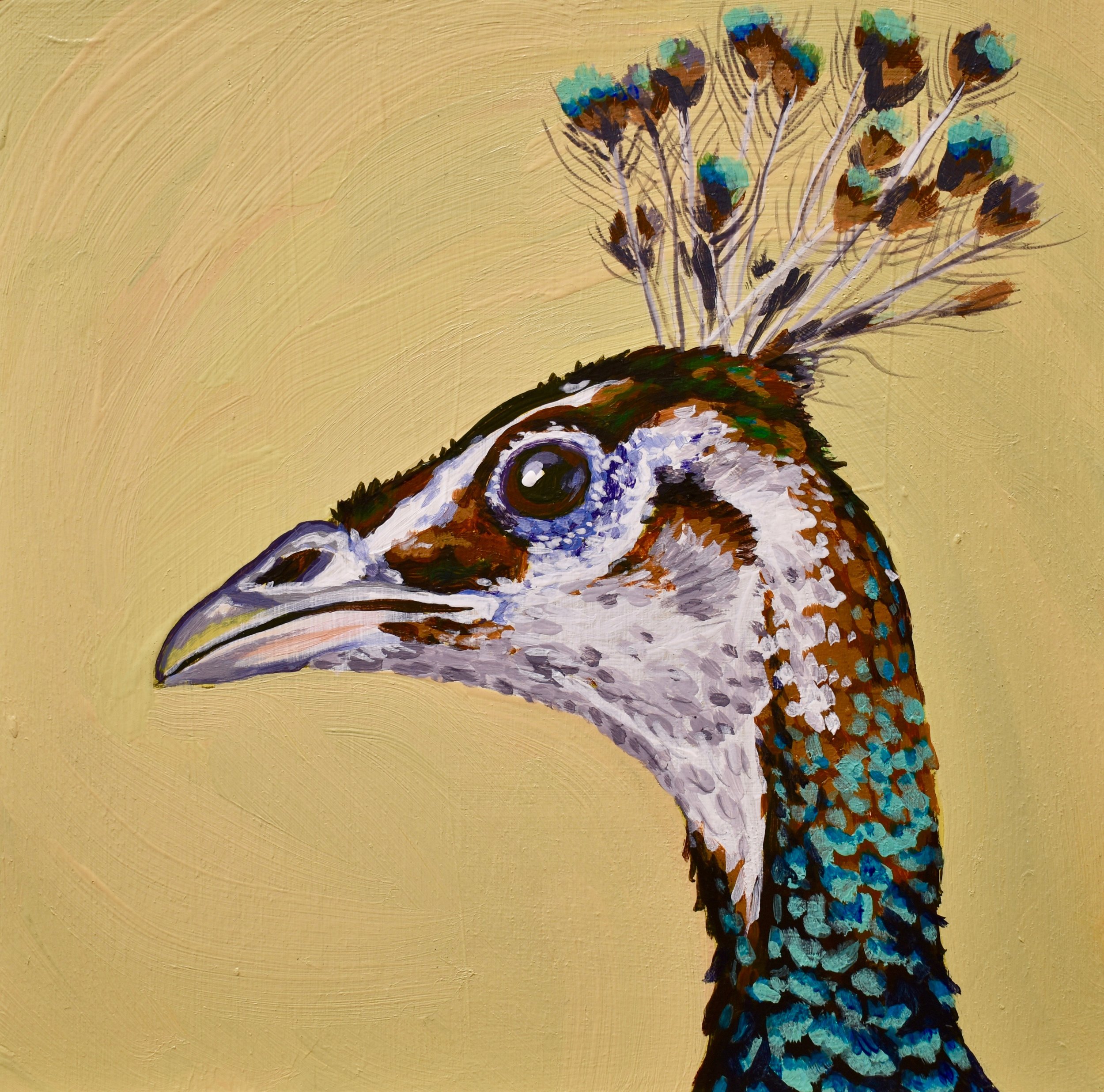 Peahen Portrait