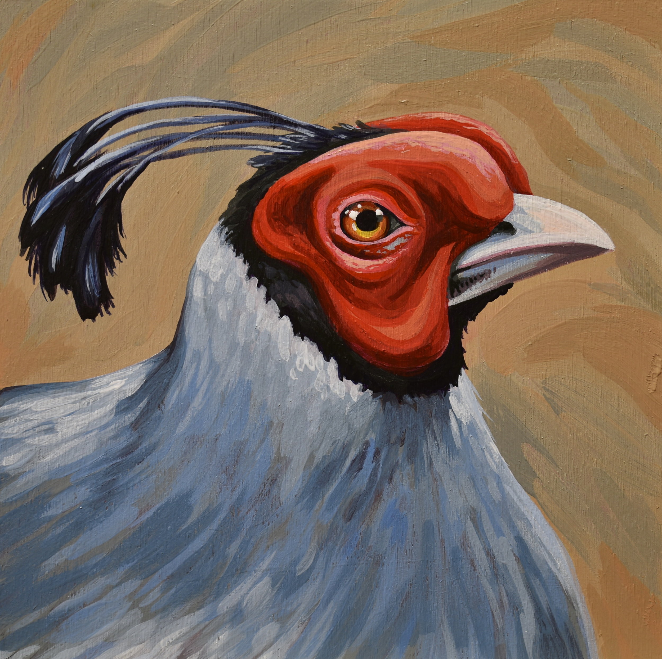 Crested Fireback Portrait