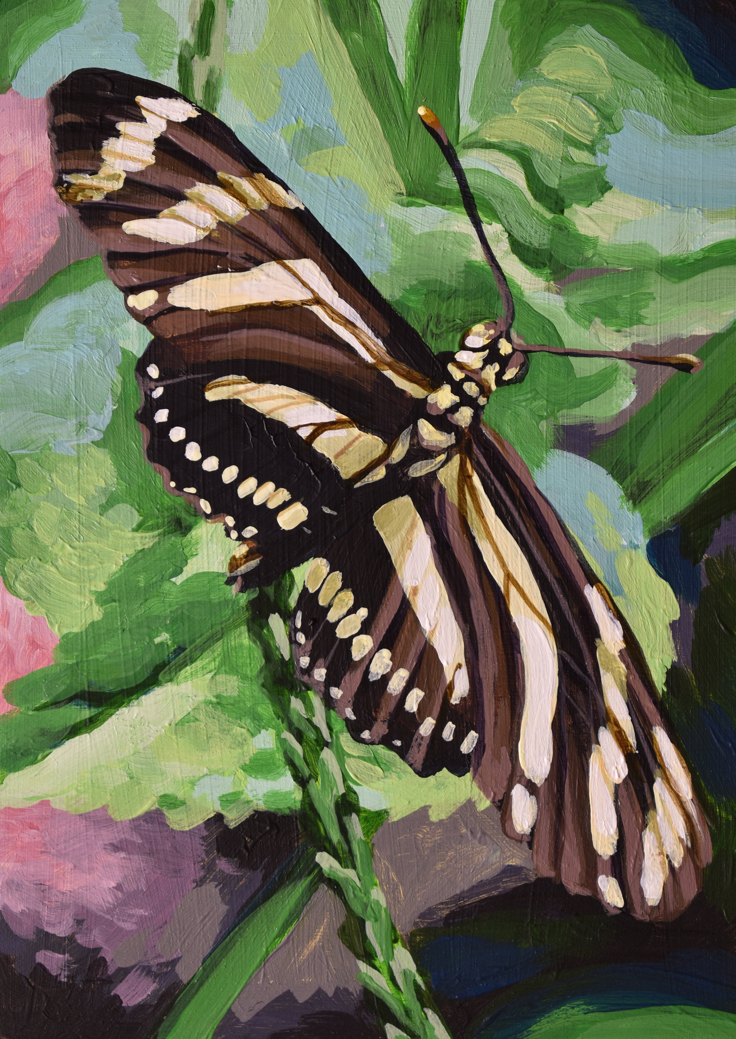Zebra Longwing Butterfly