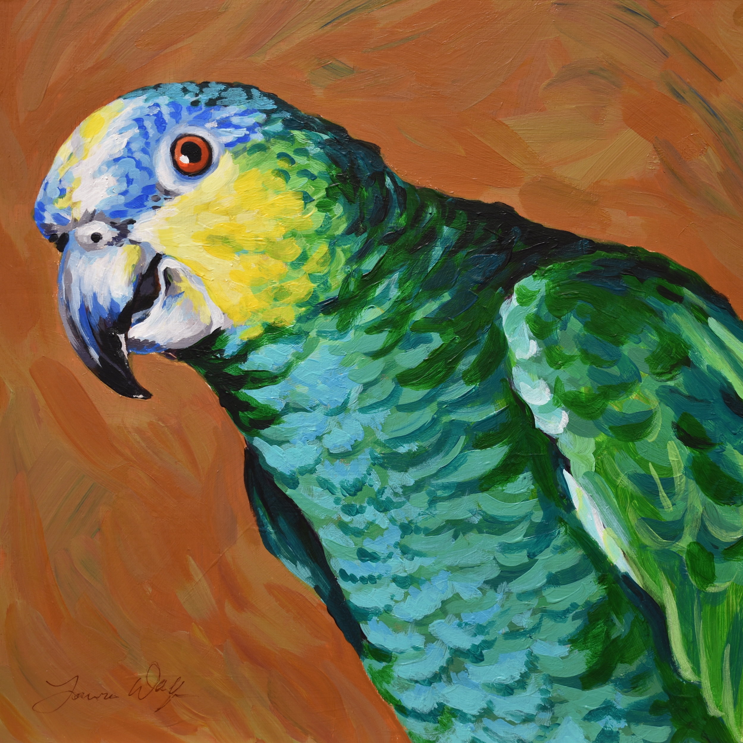 Blue-fronted Amazon Parrot