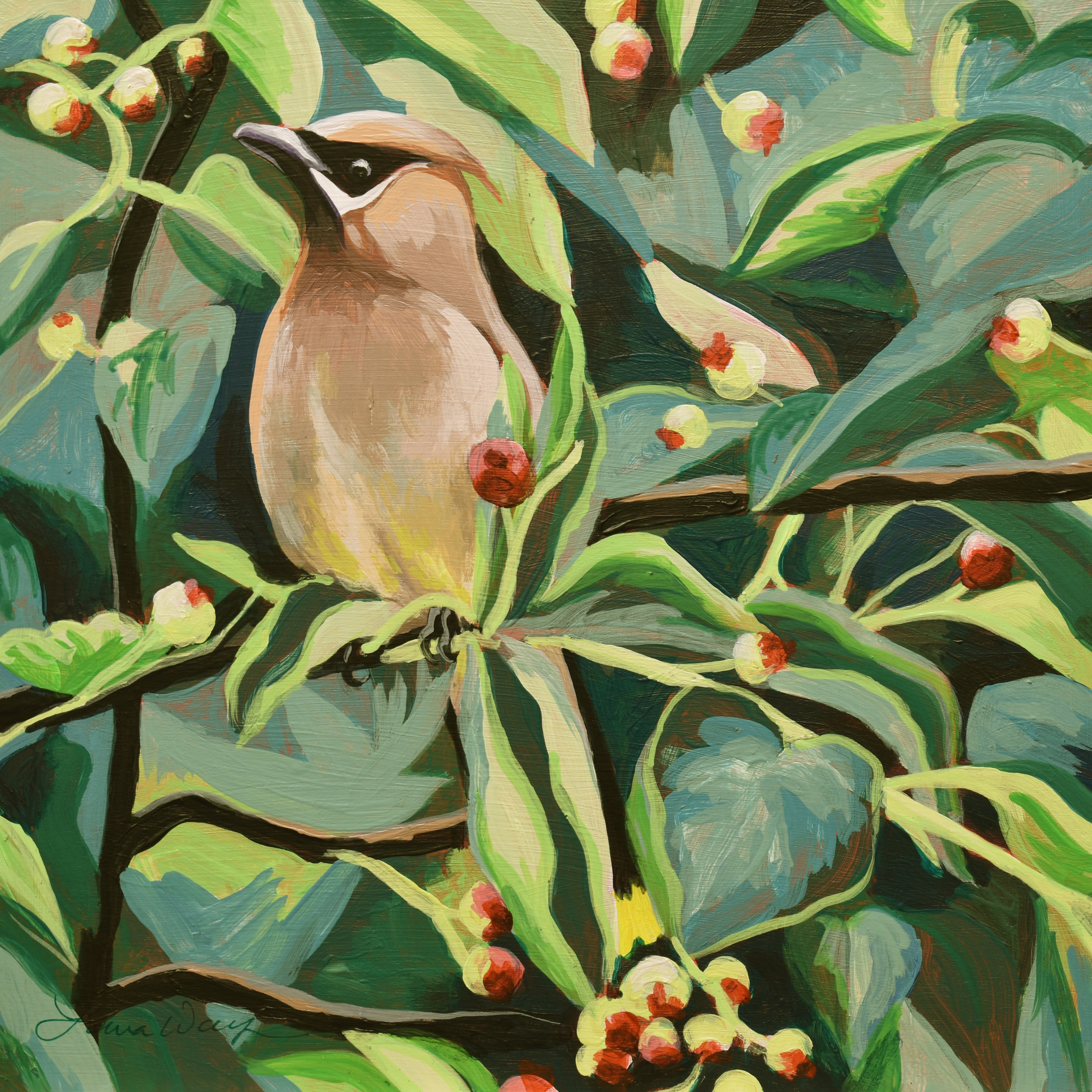 Cedar Waxwing