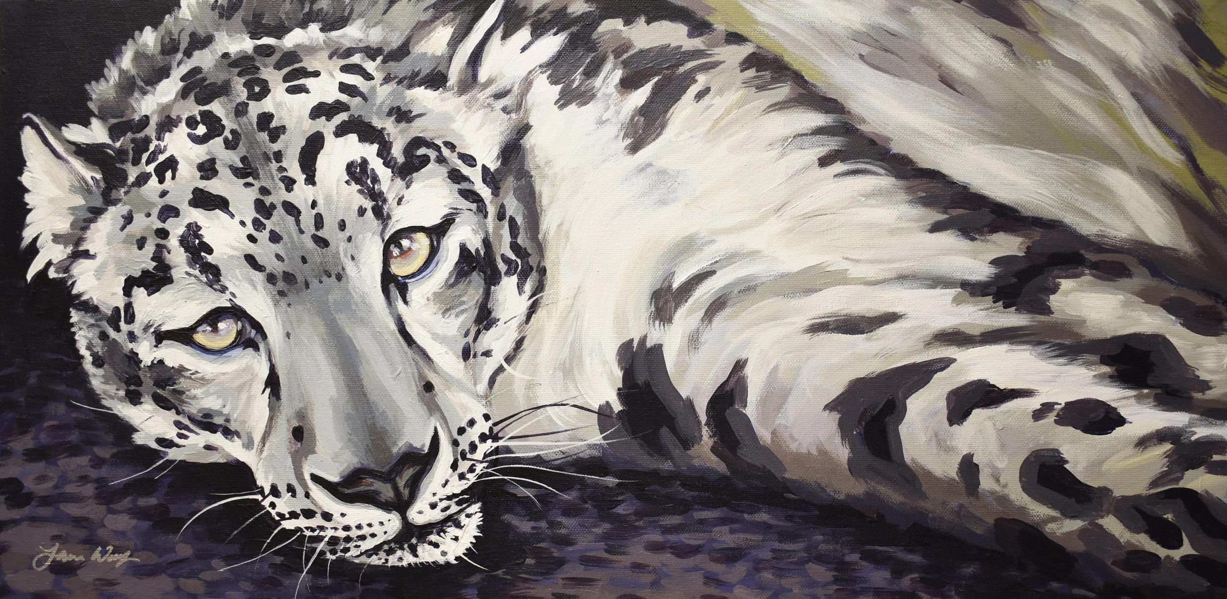 Snow Leopard