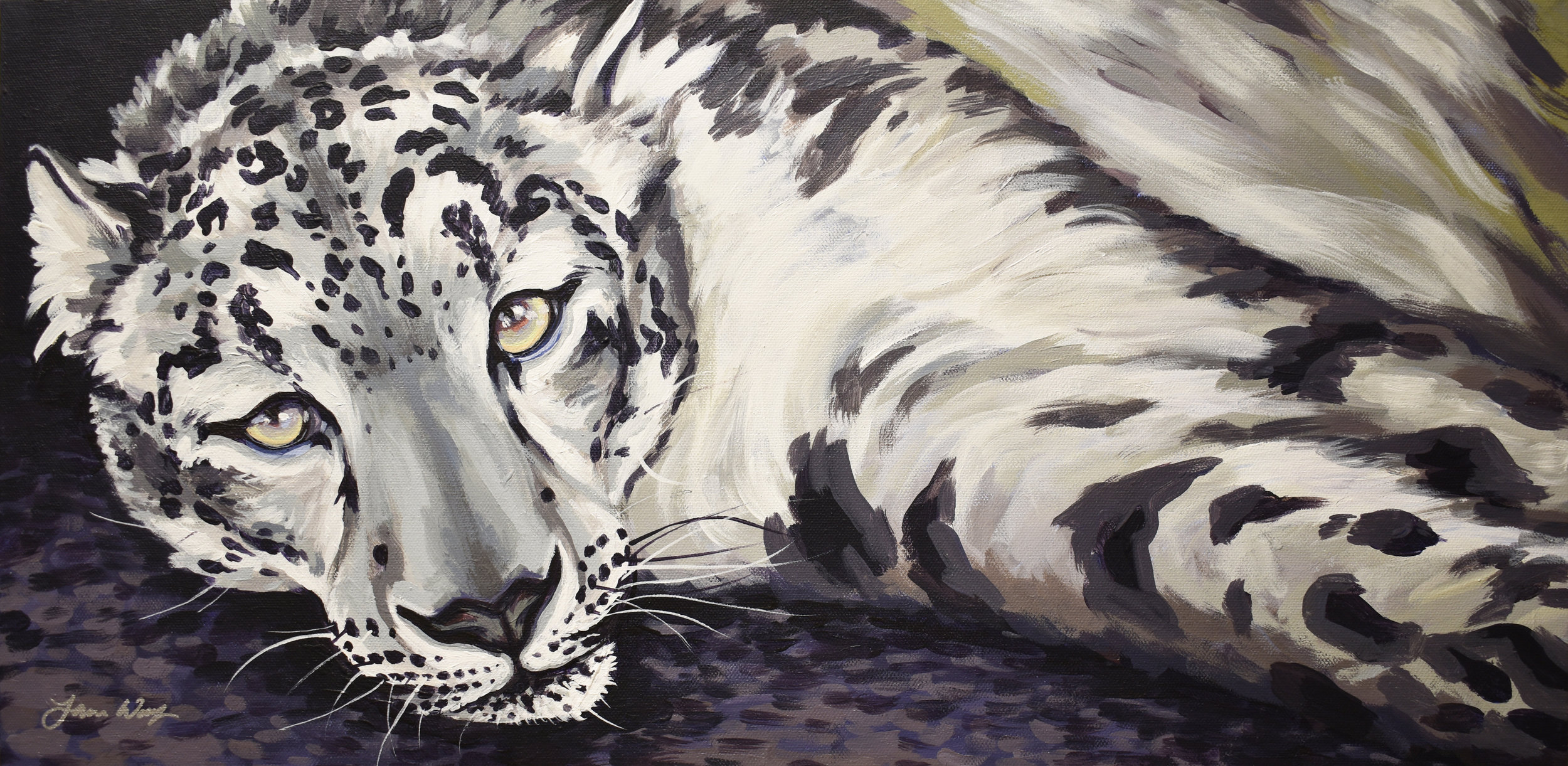 Snow Leopard