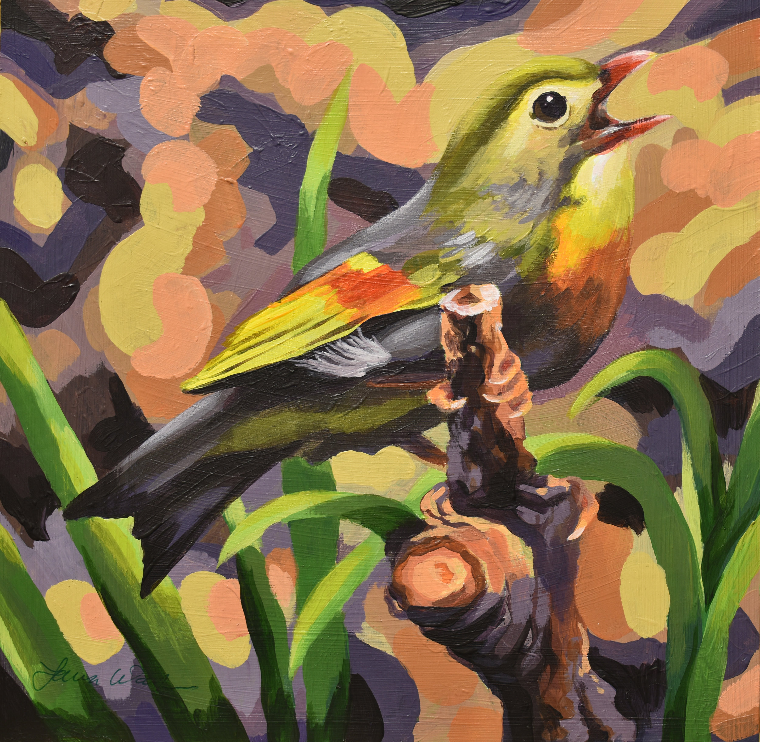 Red-billed Leiothrix