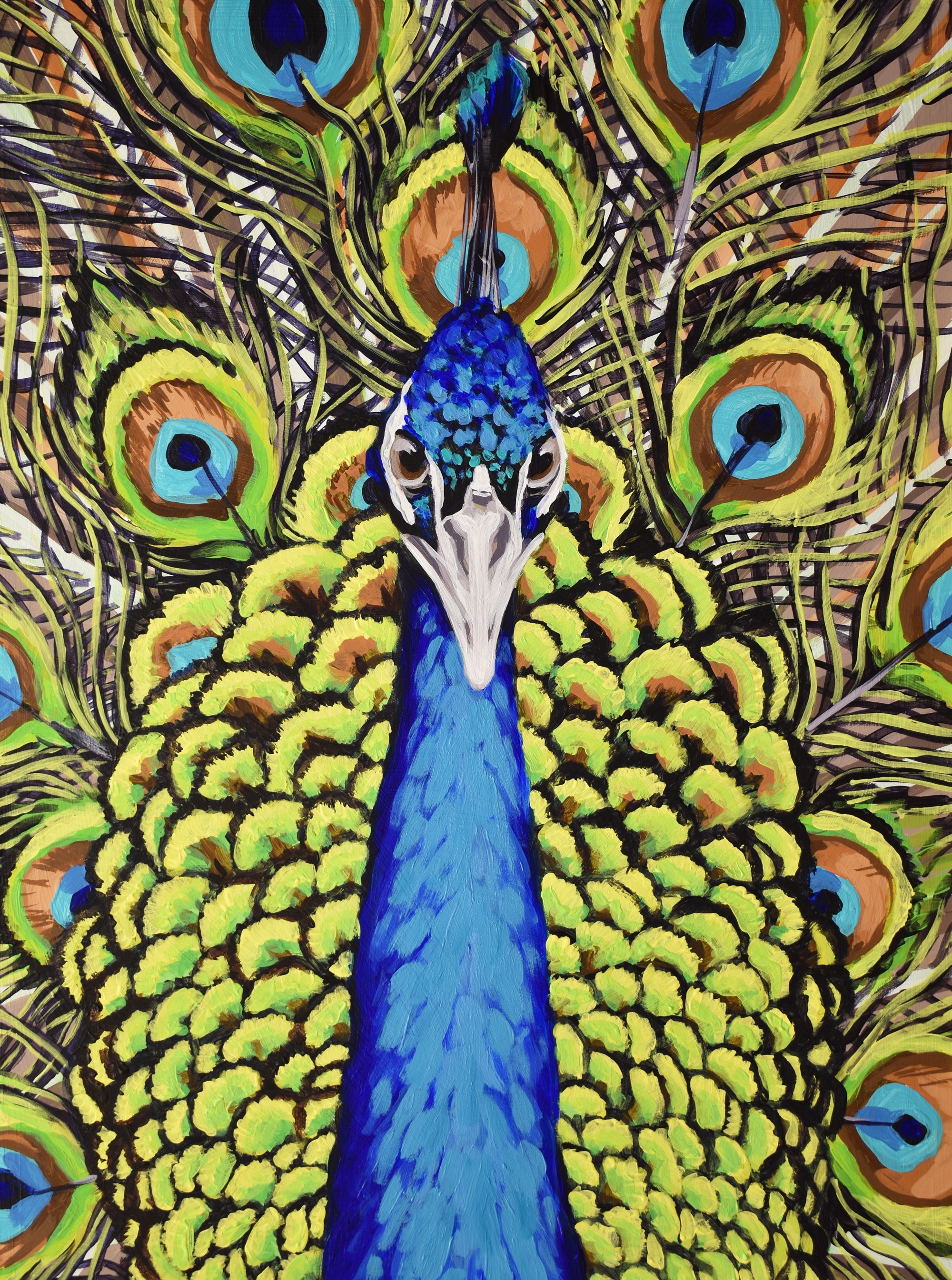 Peacock 3