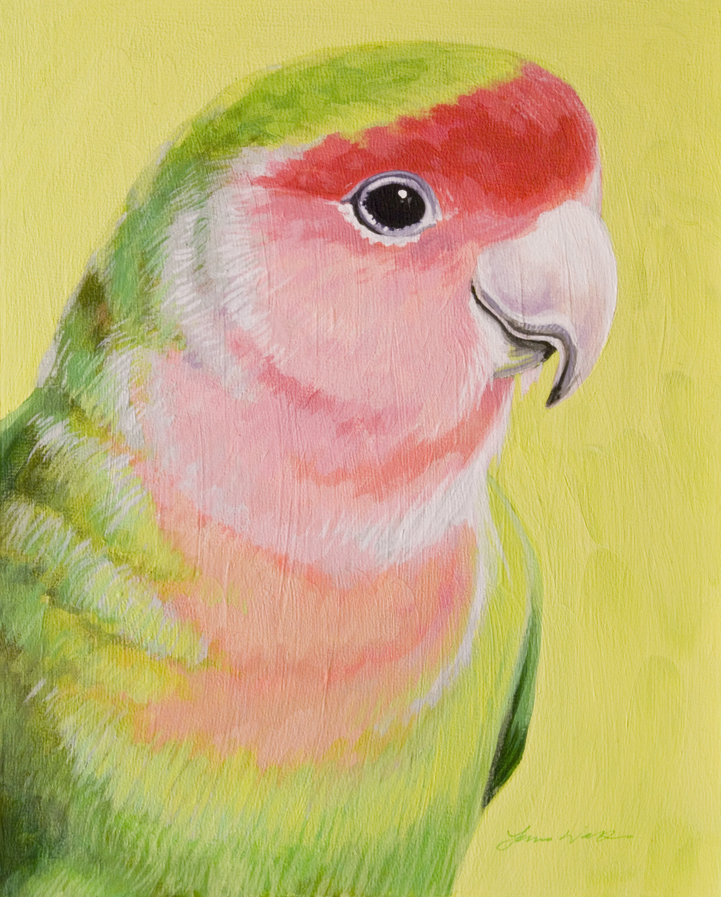 lovebird.JPG