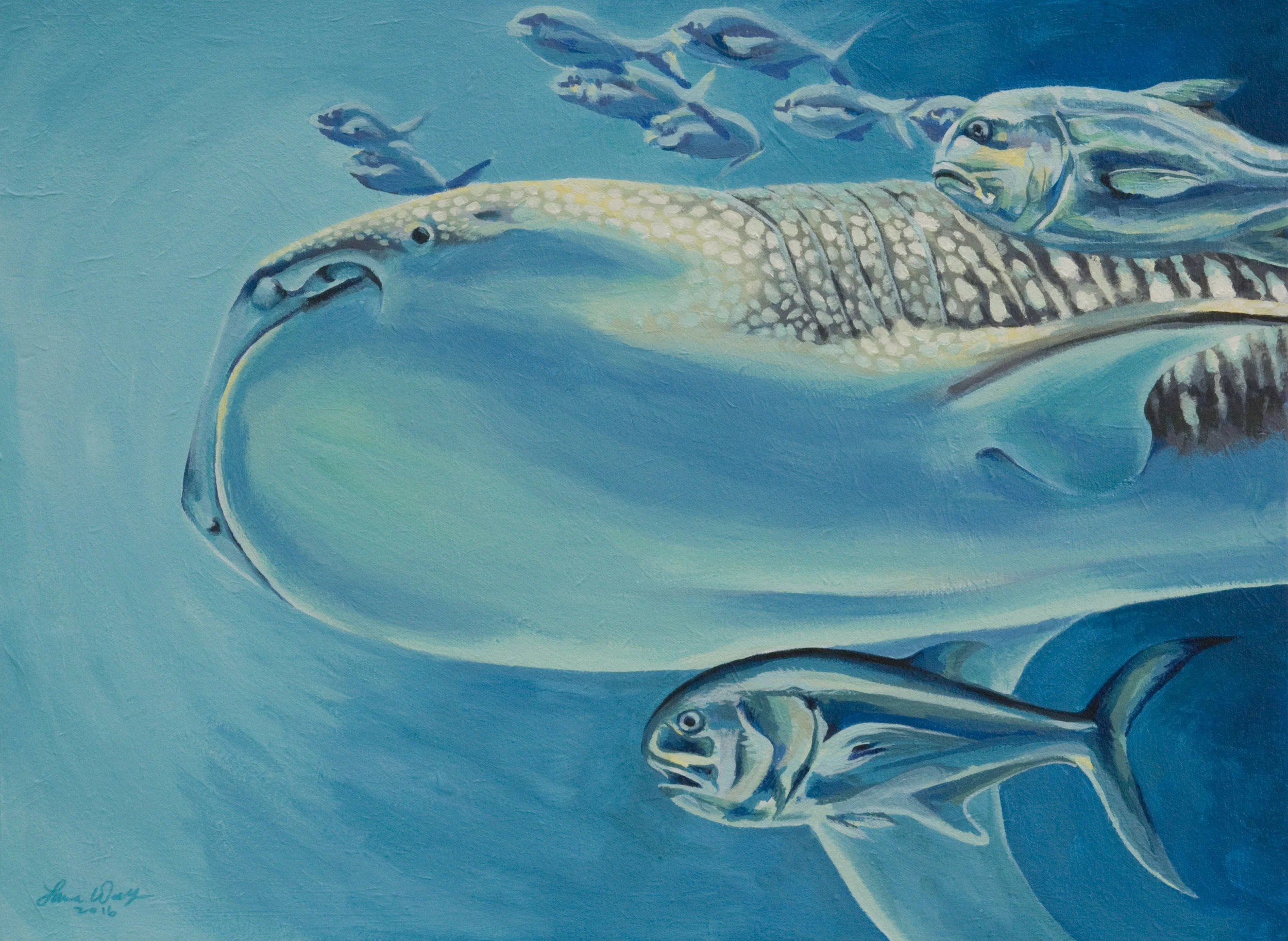 Whale Shark and Friends