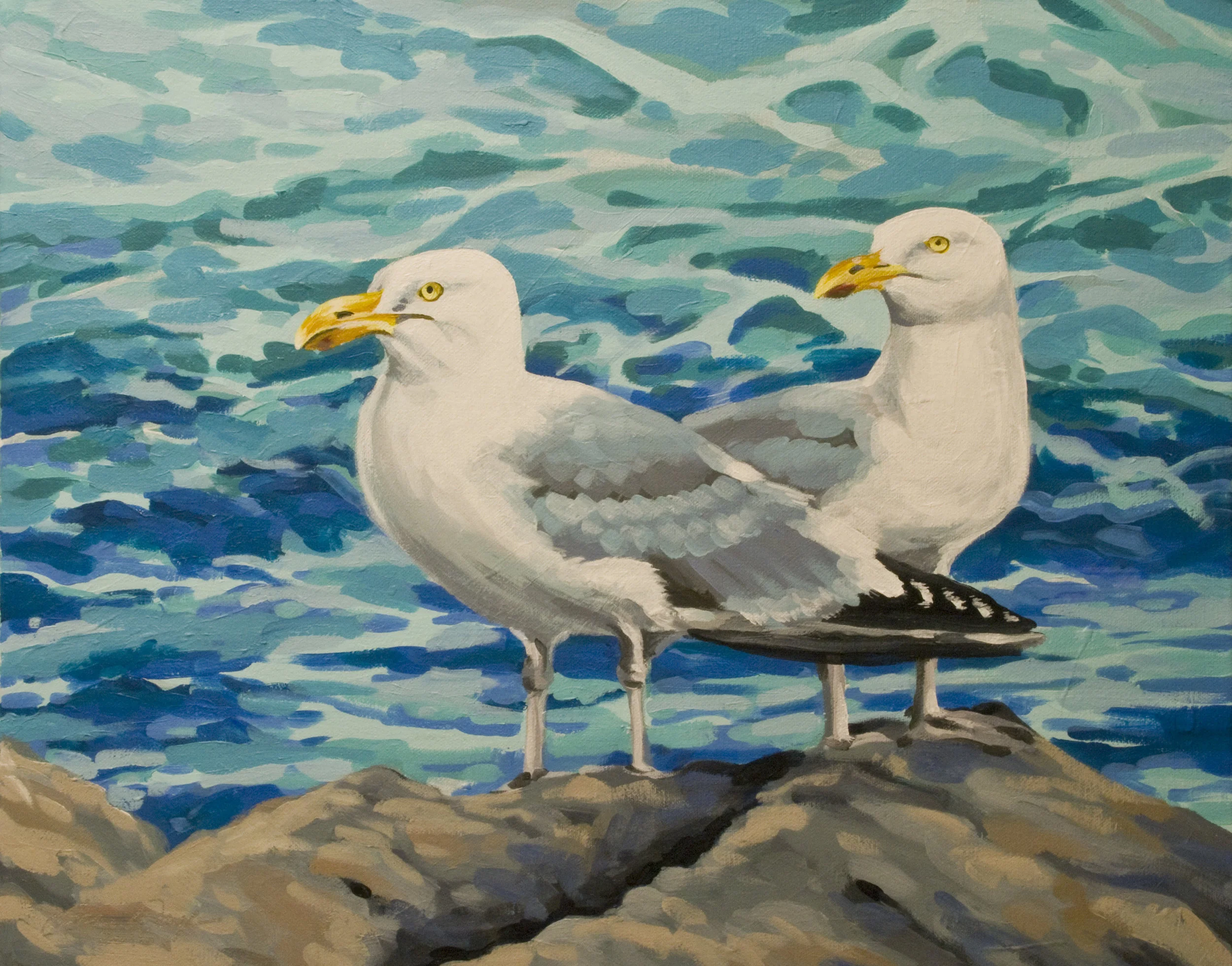 Gulls