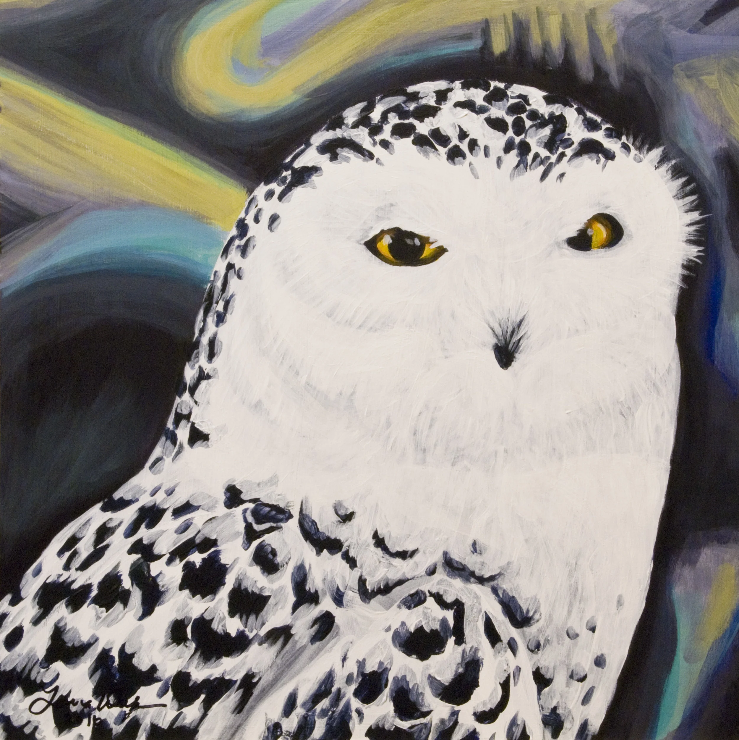 Snowy Owl