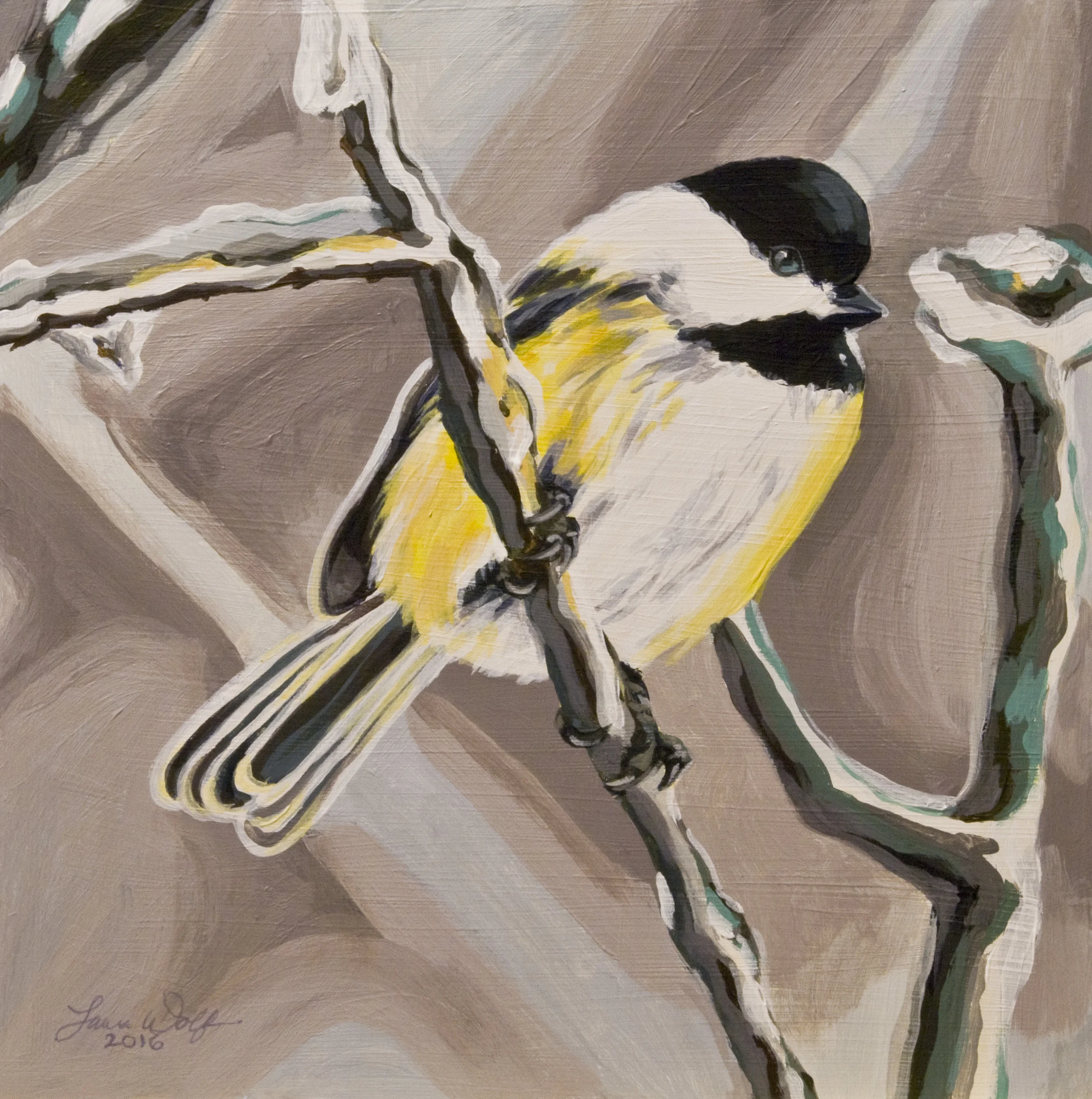 Black-capped Chickadee 2