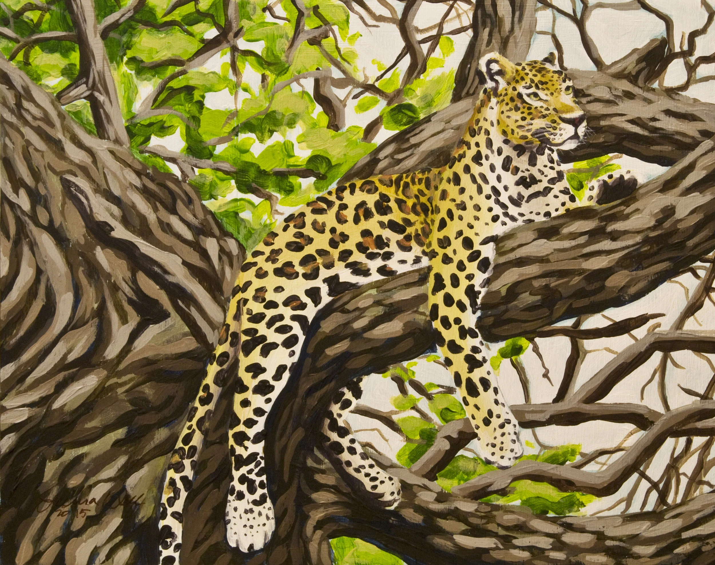 Leopard