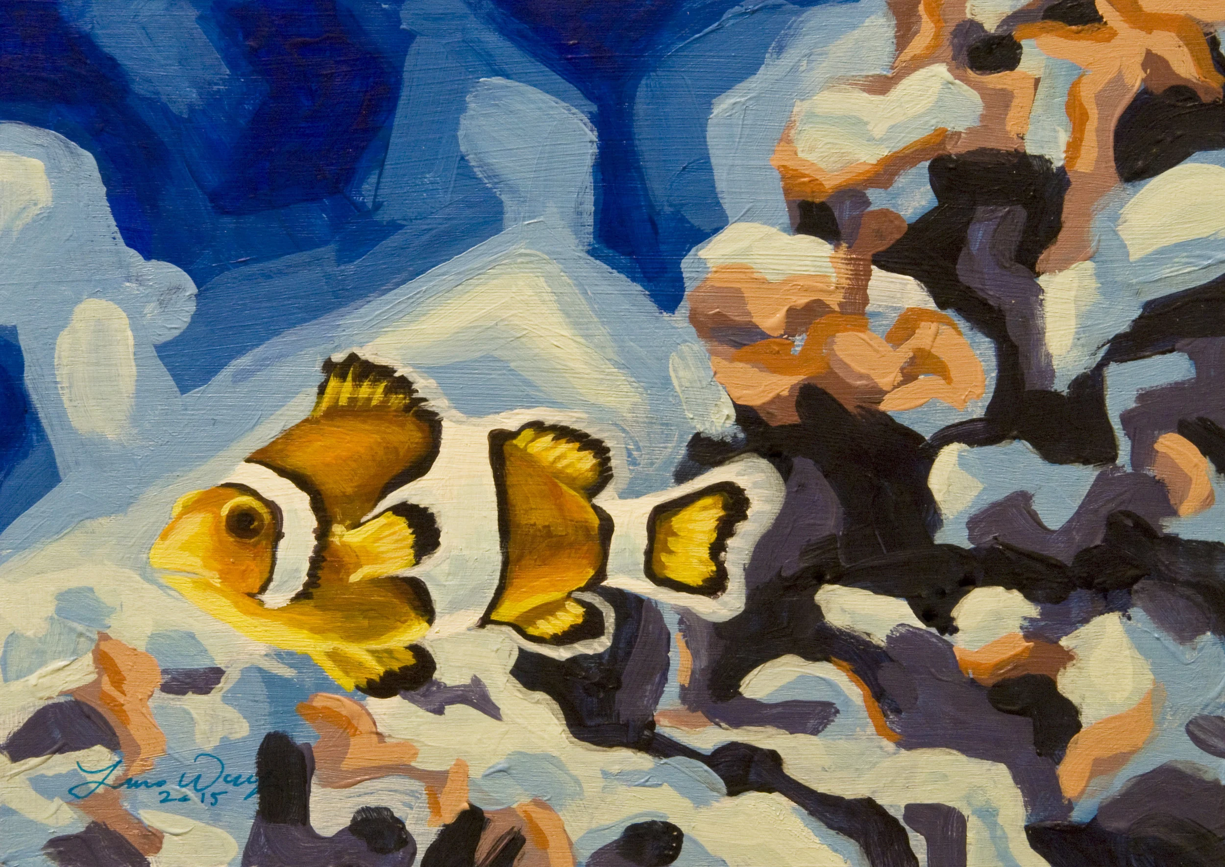Clownfish