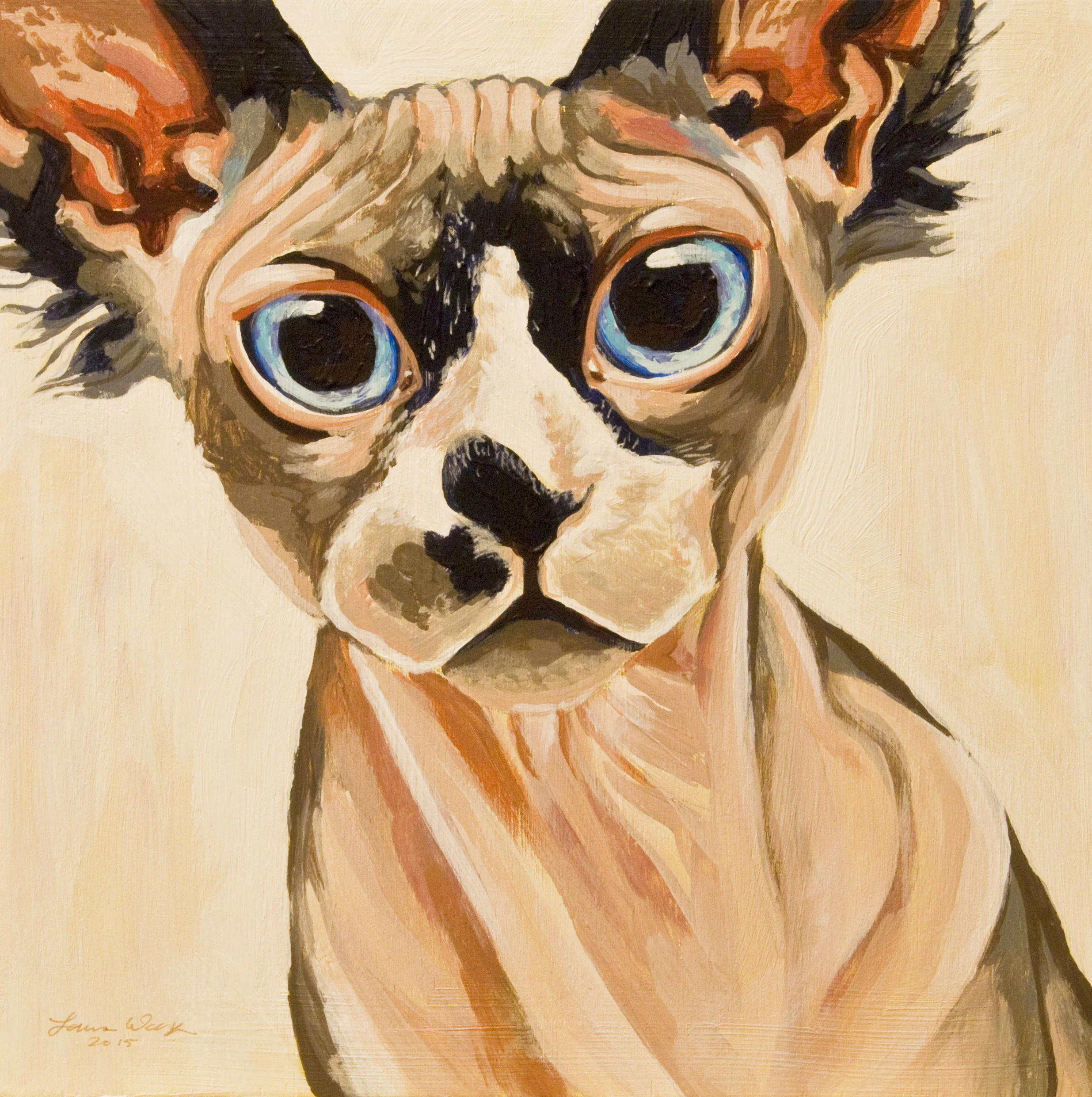 Sphynx Cat