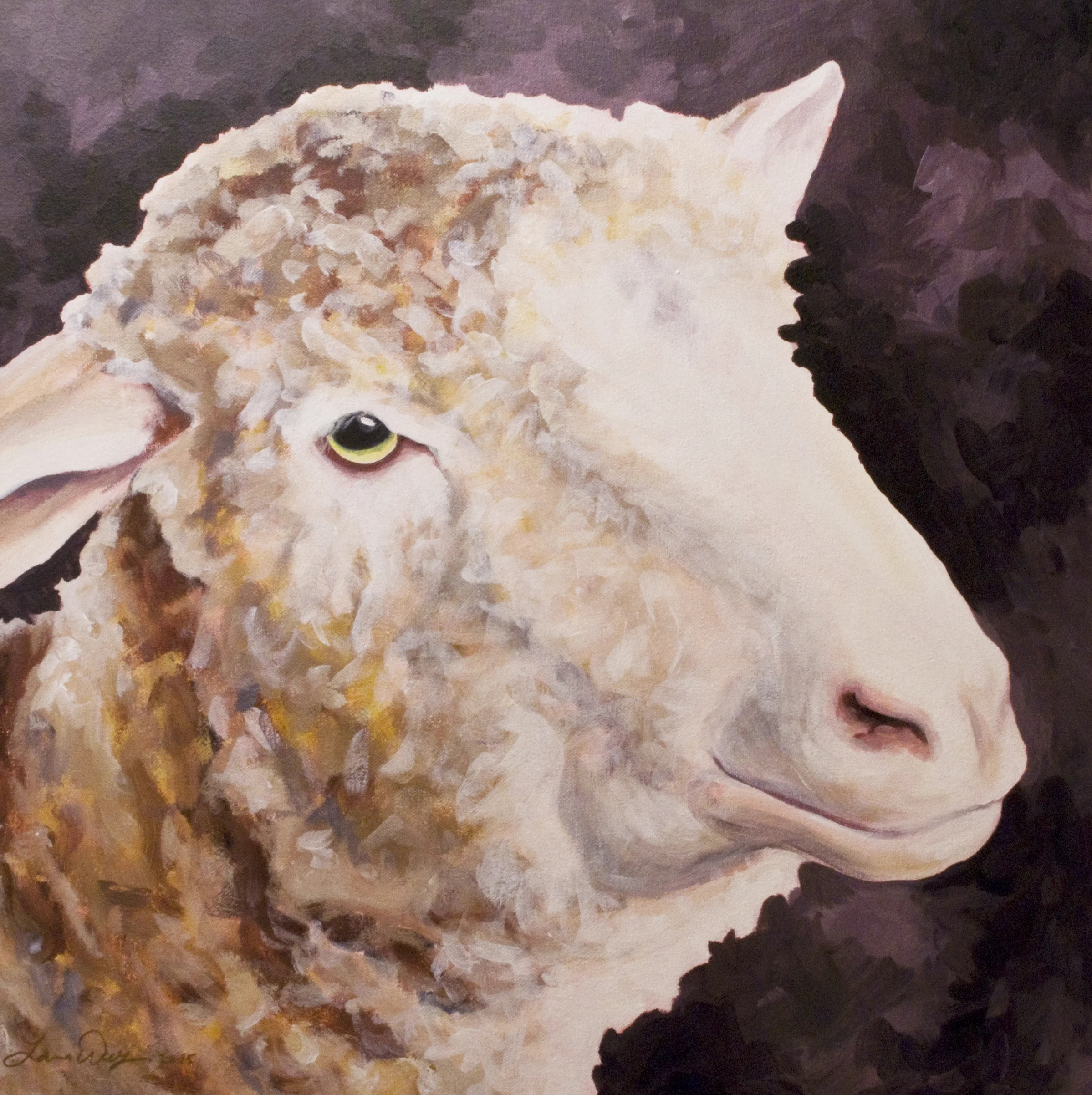 Sheep 2
