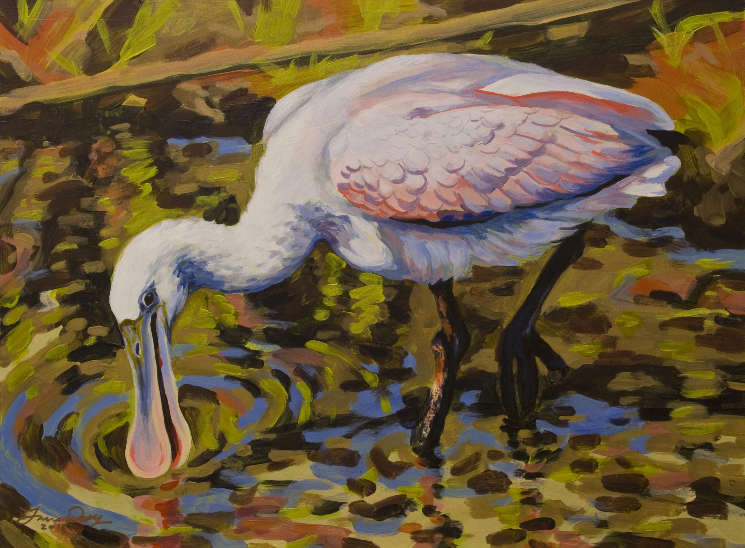 Spoonbill 2