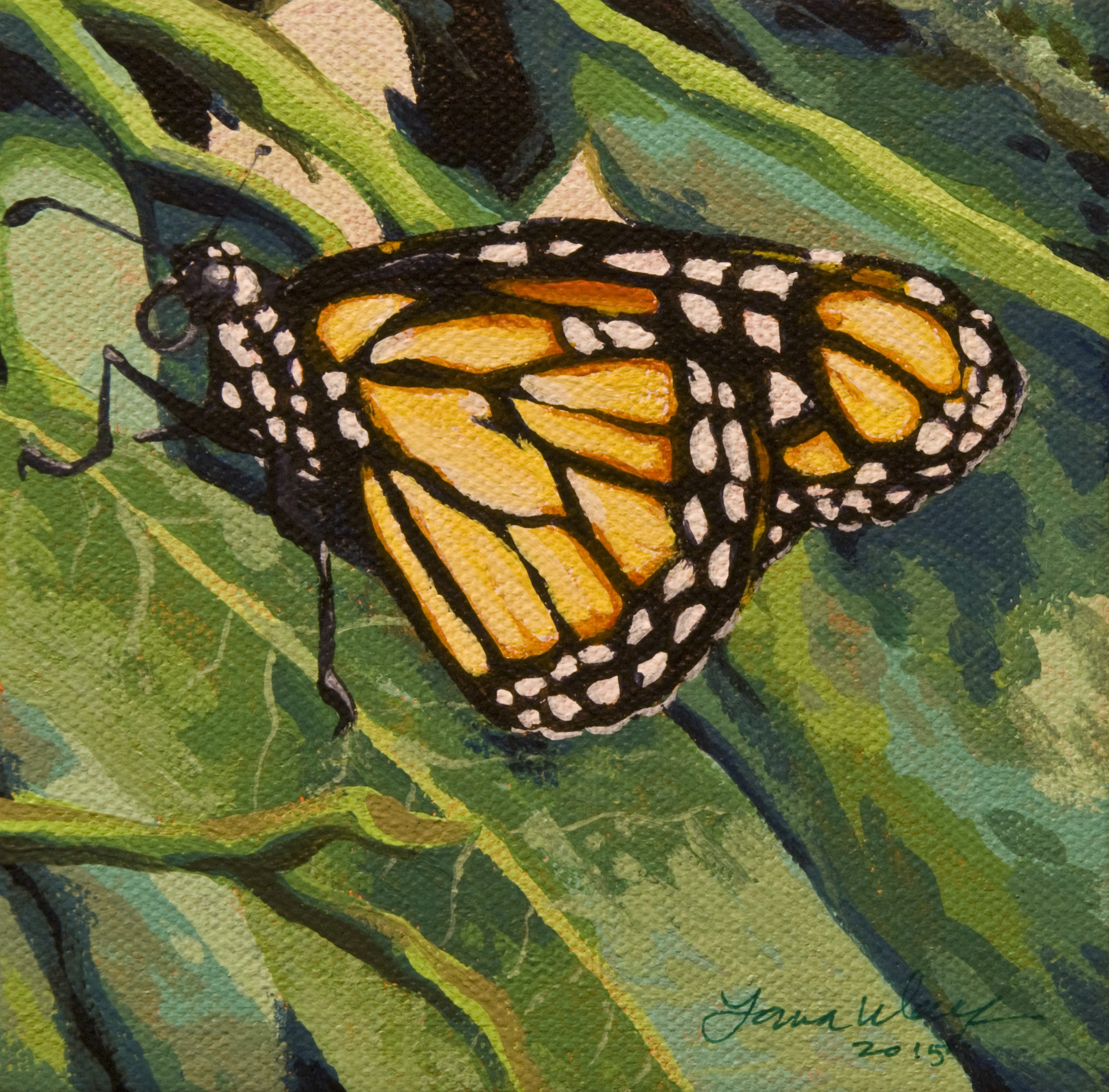 Monarch Butterfly