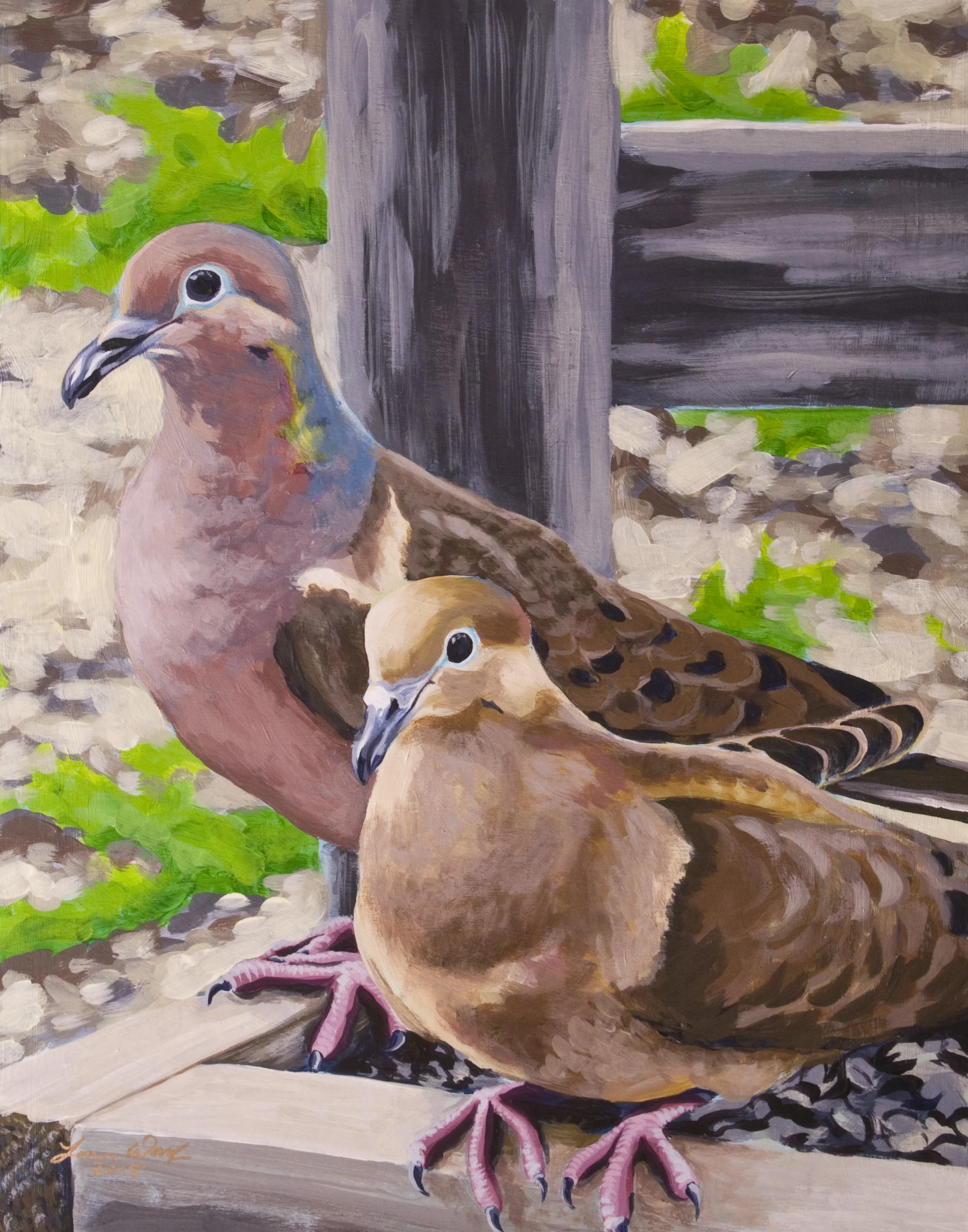 Mourning Dove Pair
