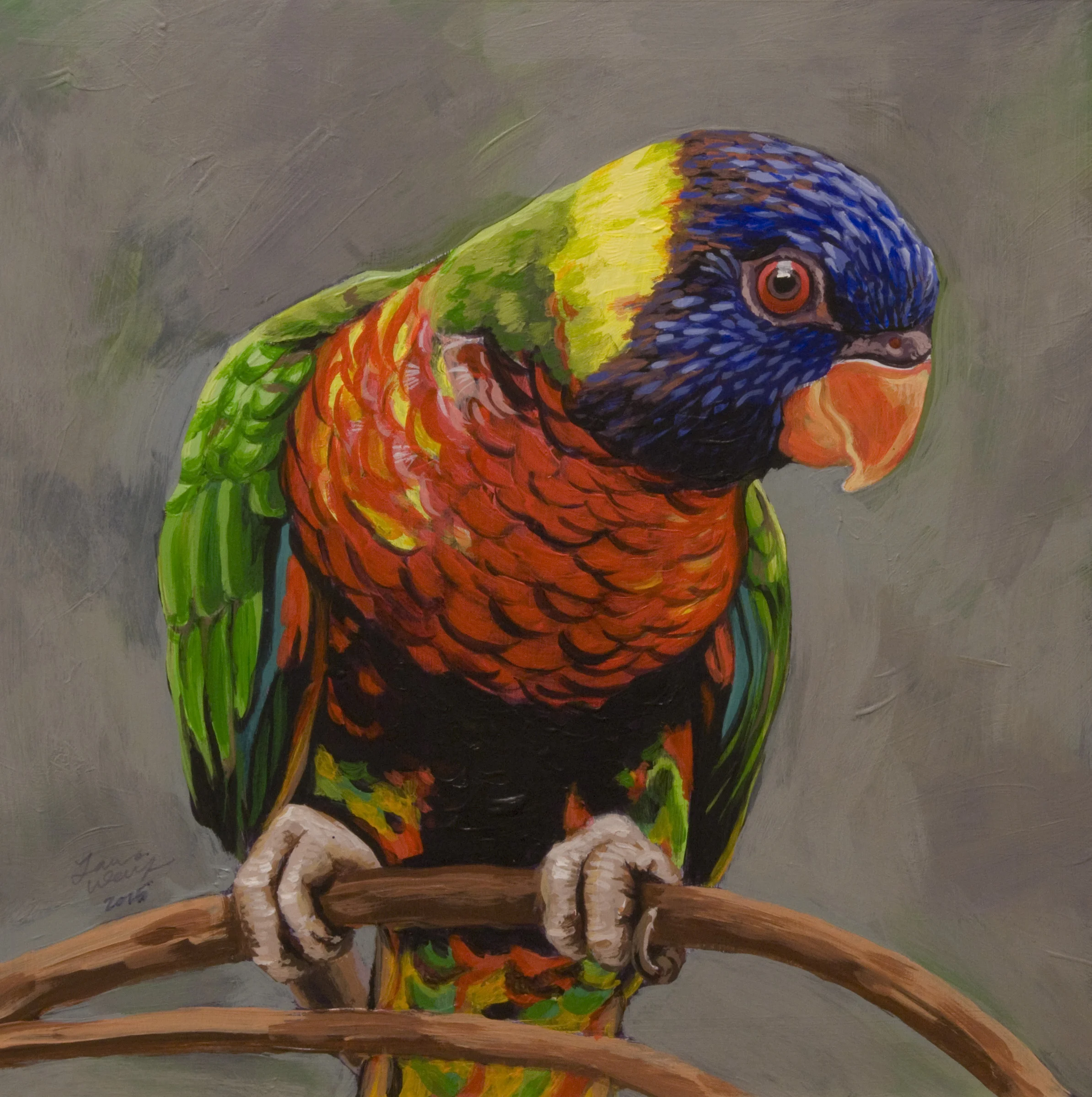 Rainbow Lorikeet