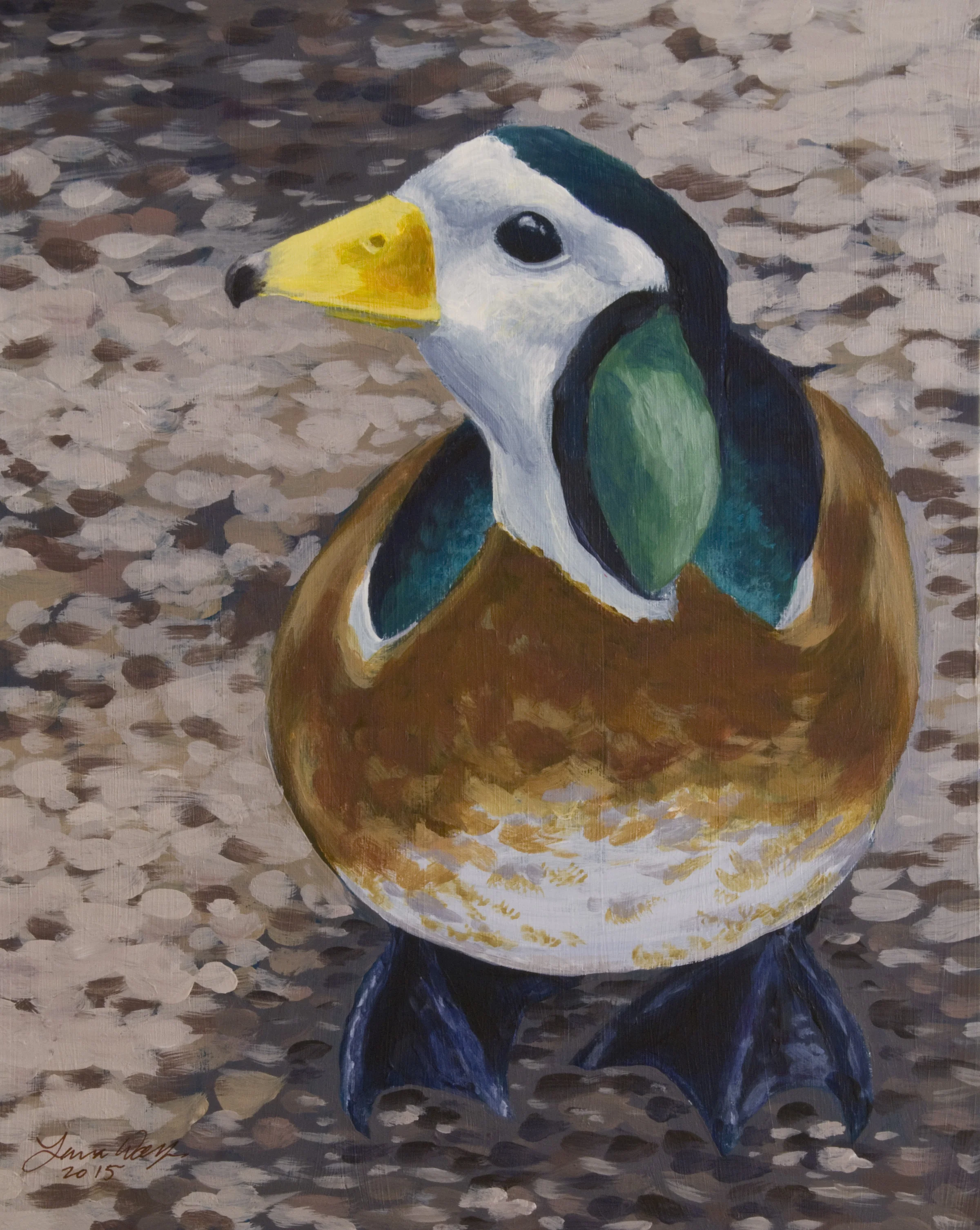 African Pygmy Goose
