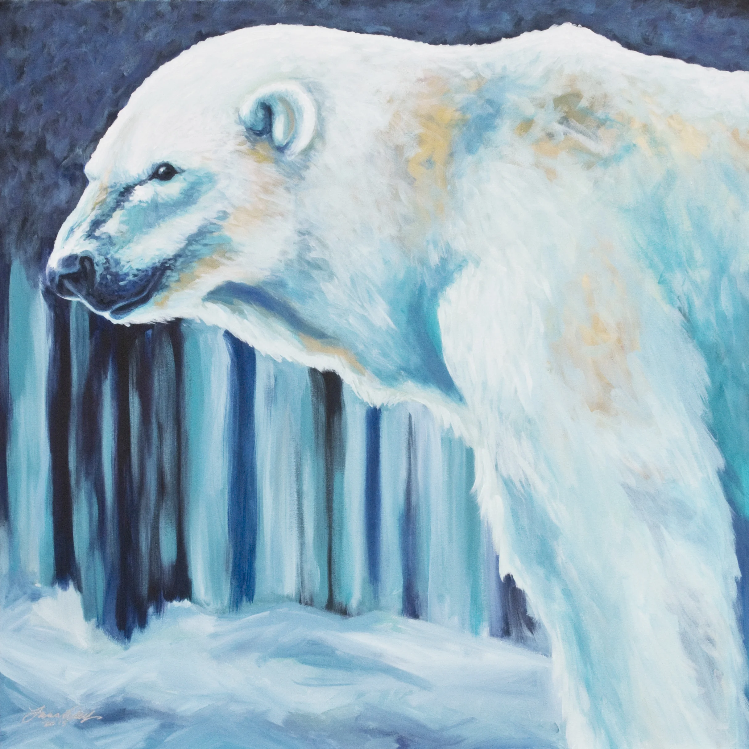 Polar Bear