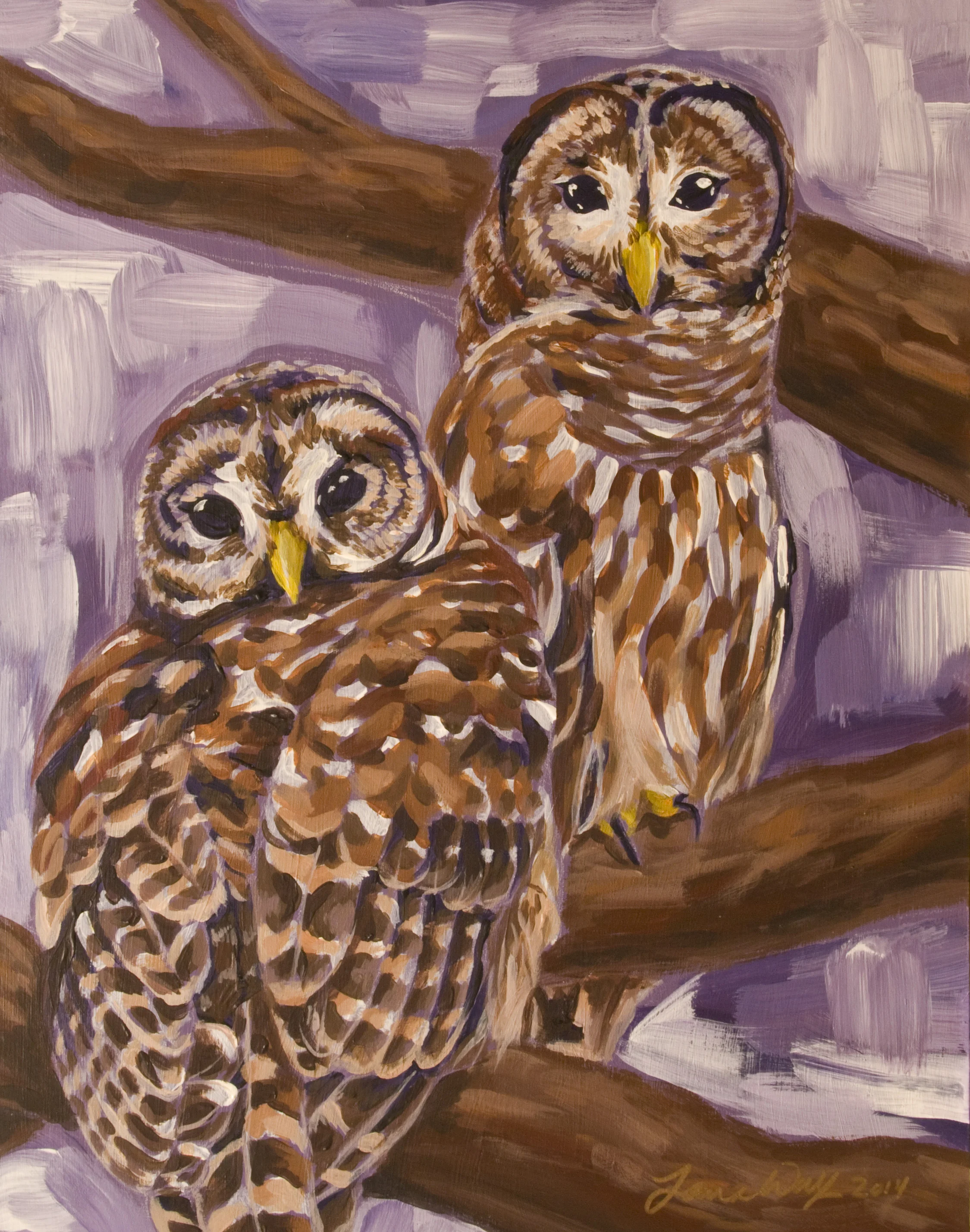 Barred Owl Pair