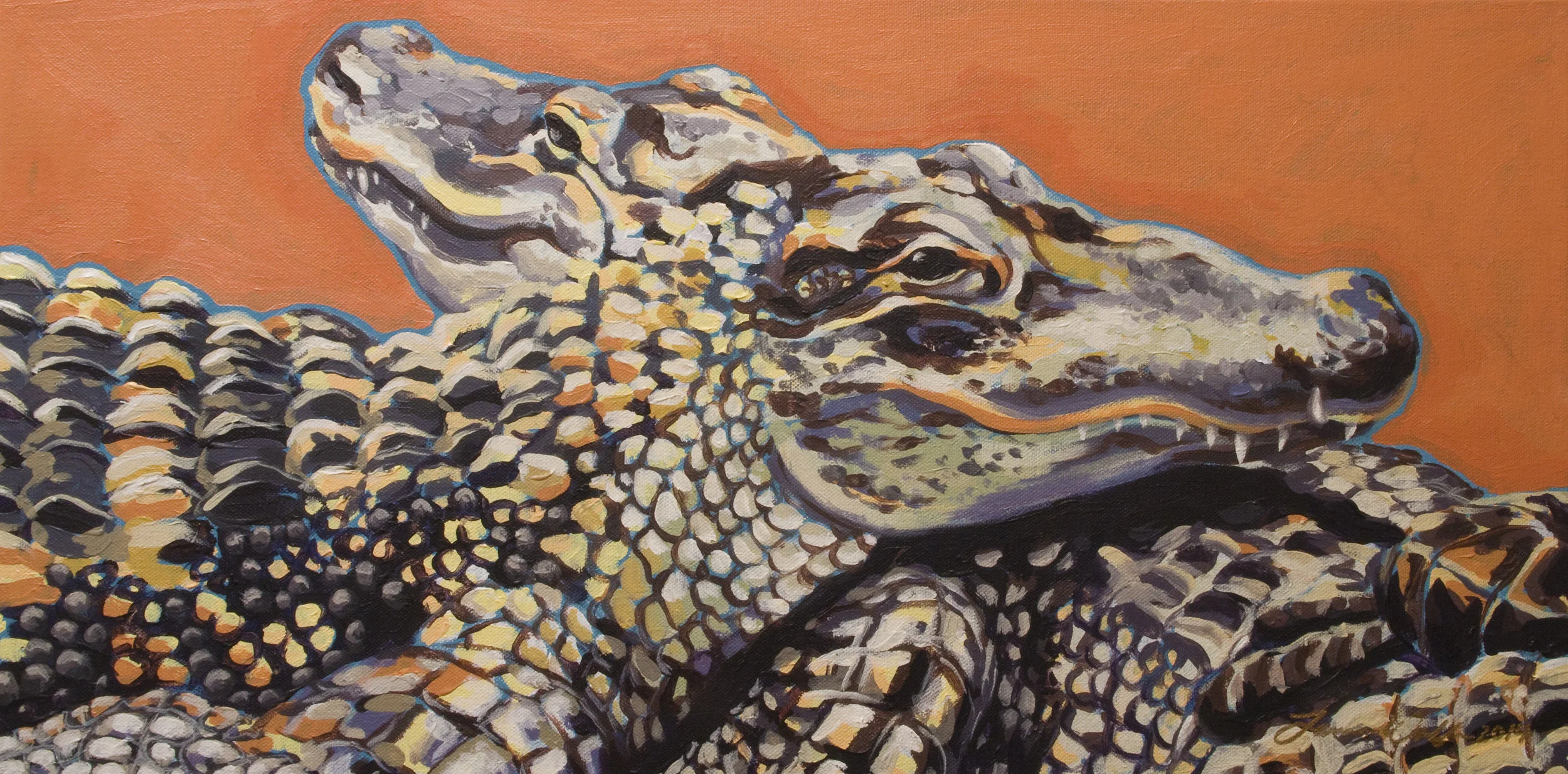 Alligators
