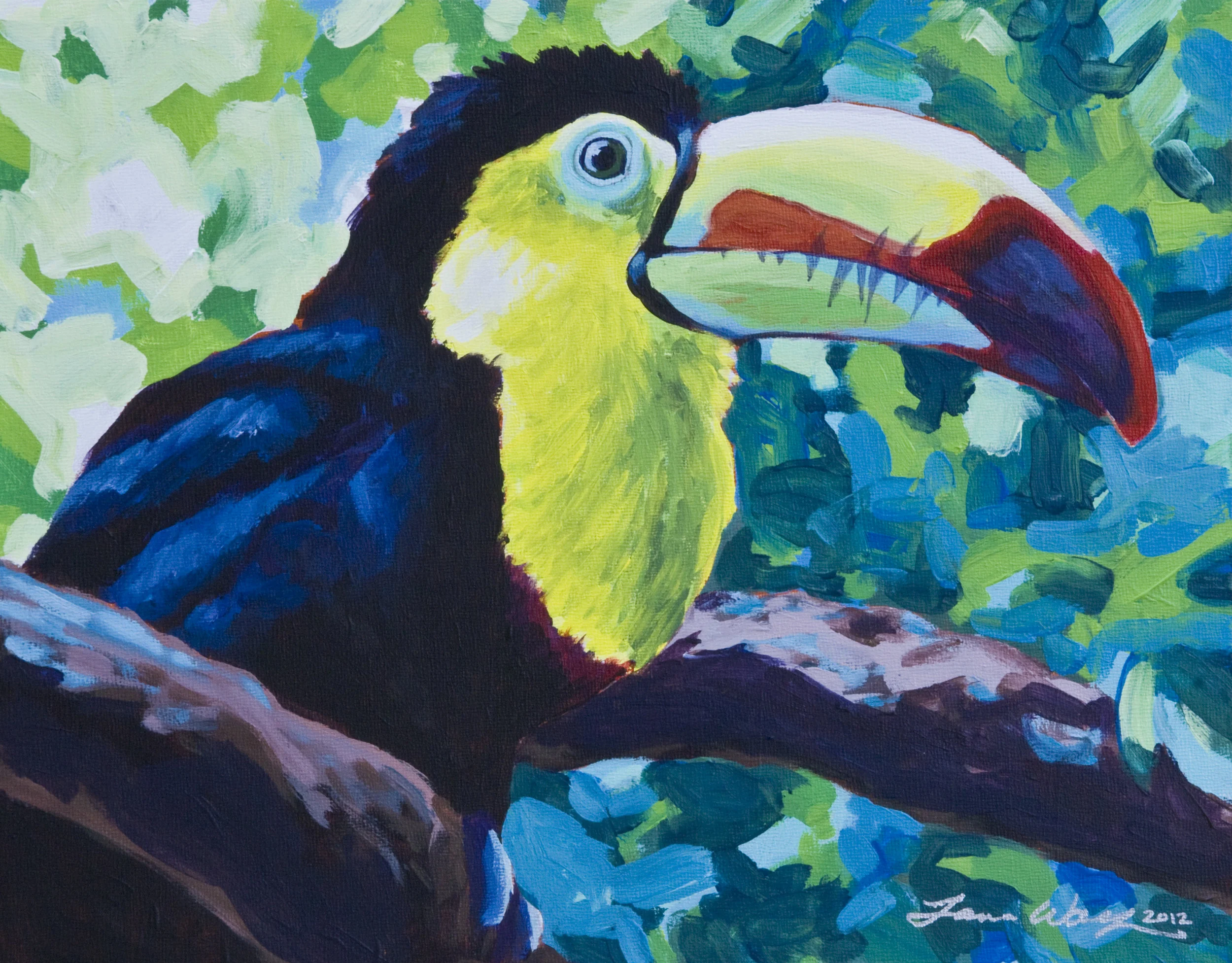 Keel-billed Toucan