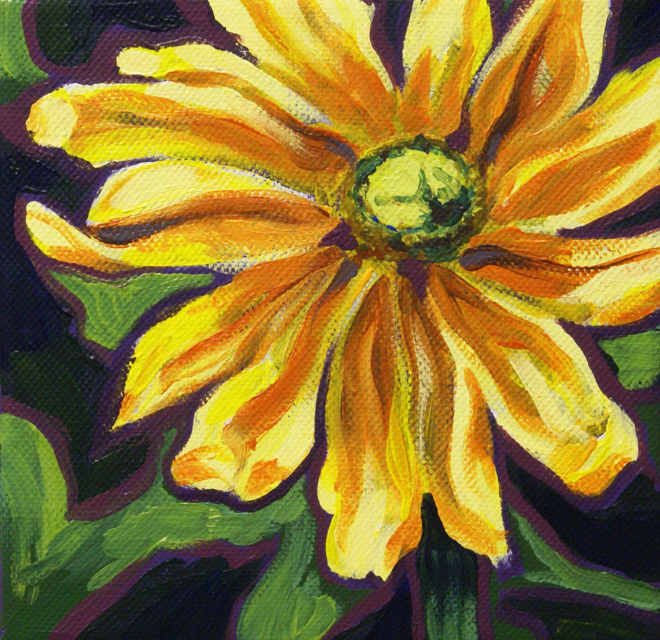 Daisy