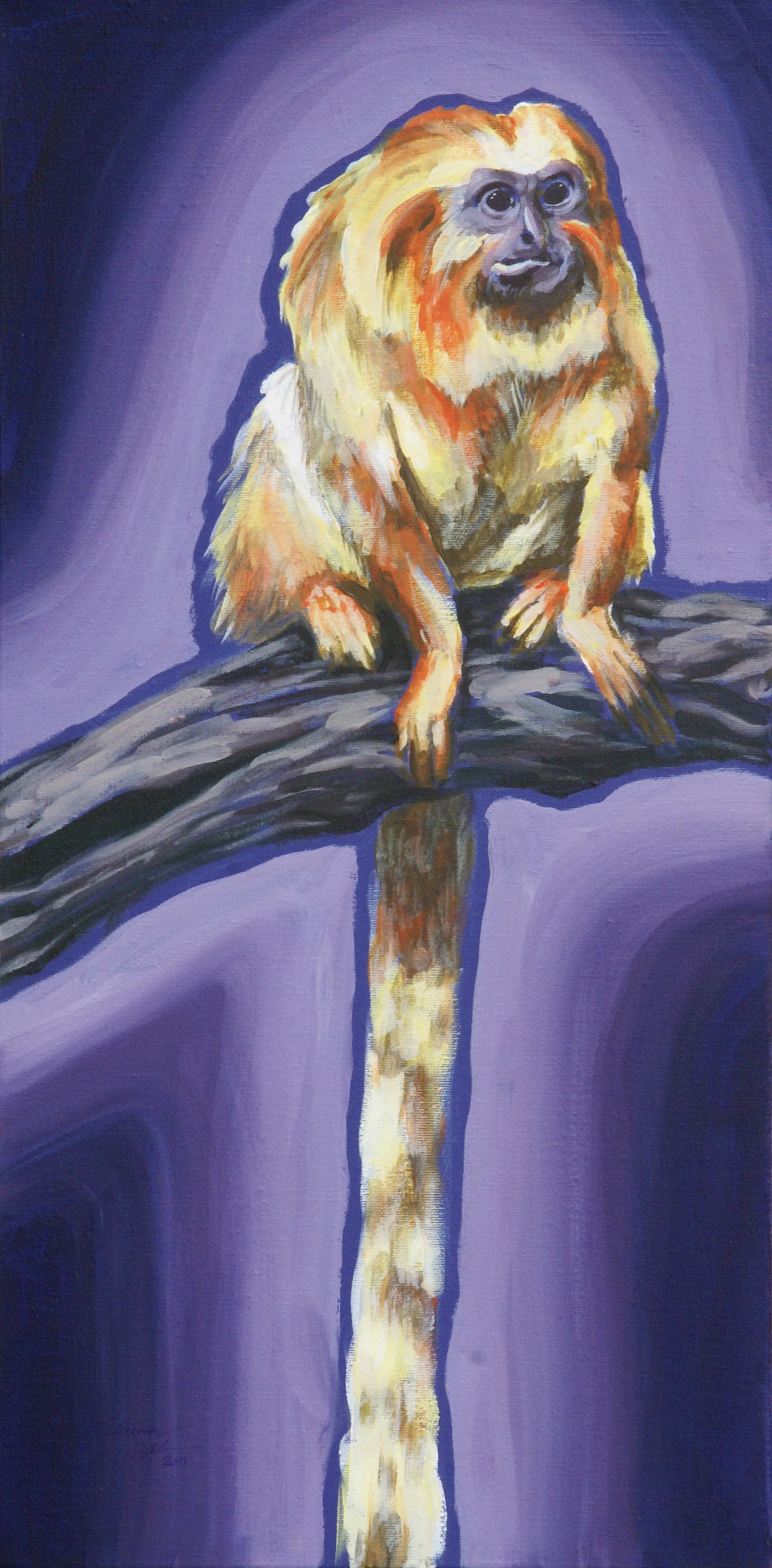 Golden Lion Tamarin