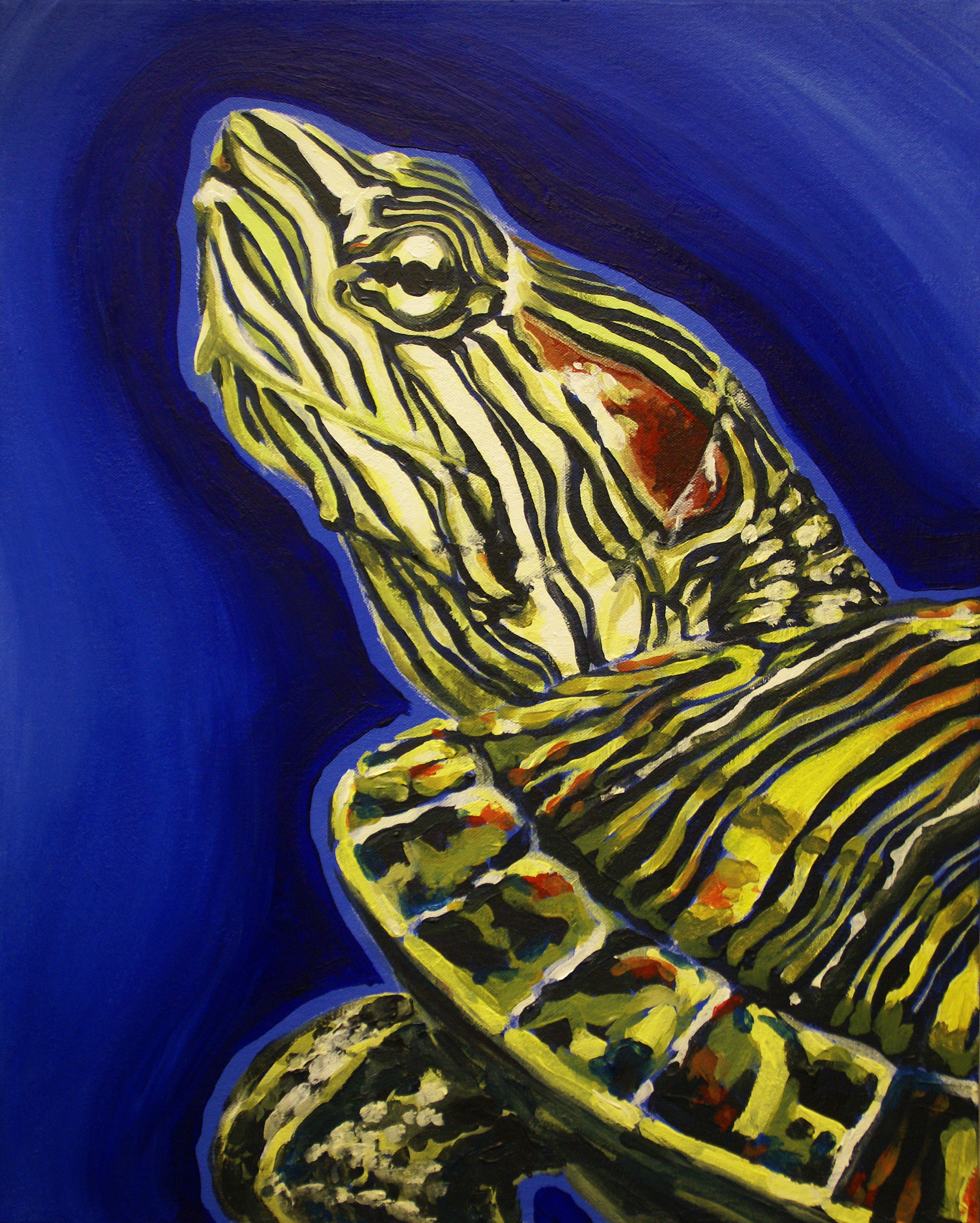 Painted Turtle