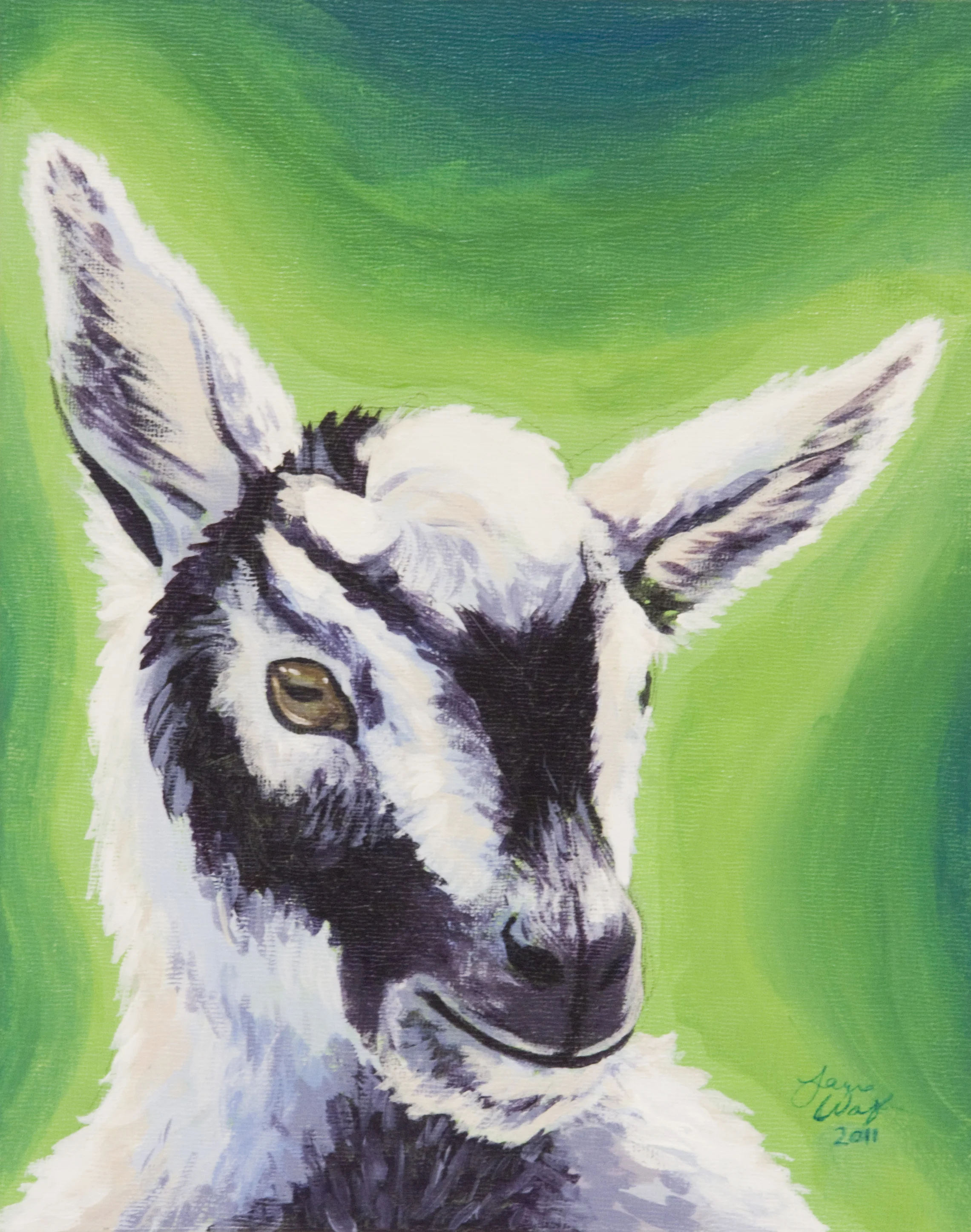 Baby Goat