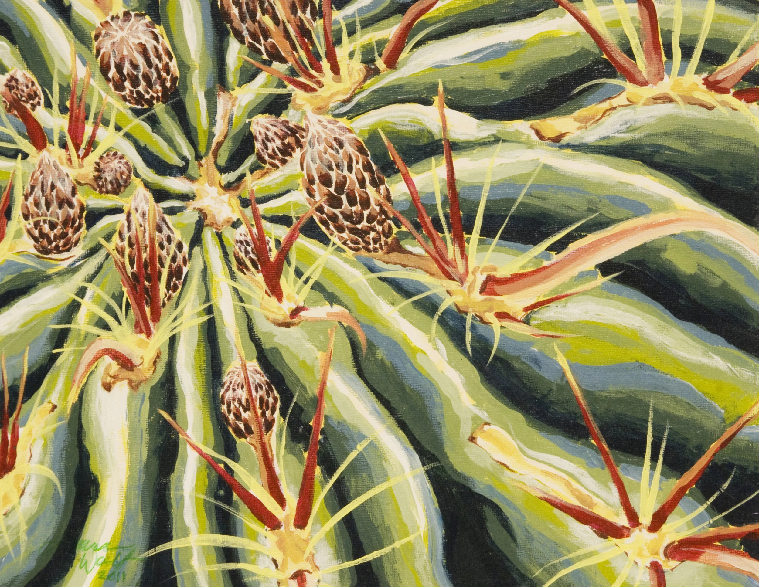 Horse Crippler Cactus