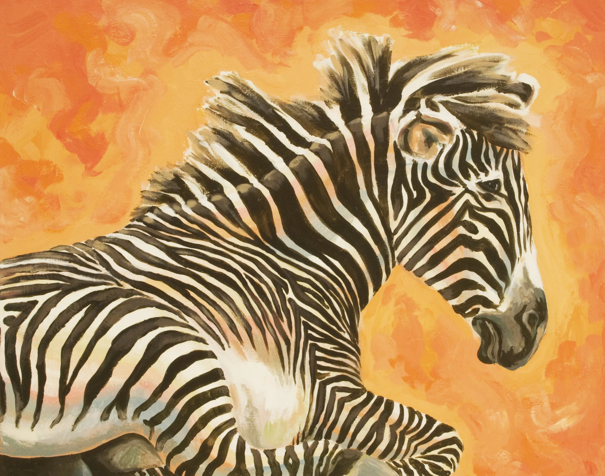 Zebra